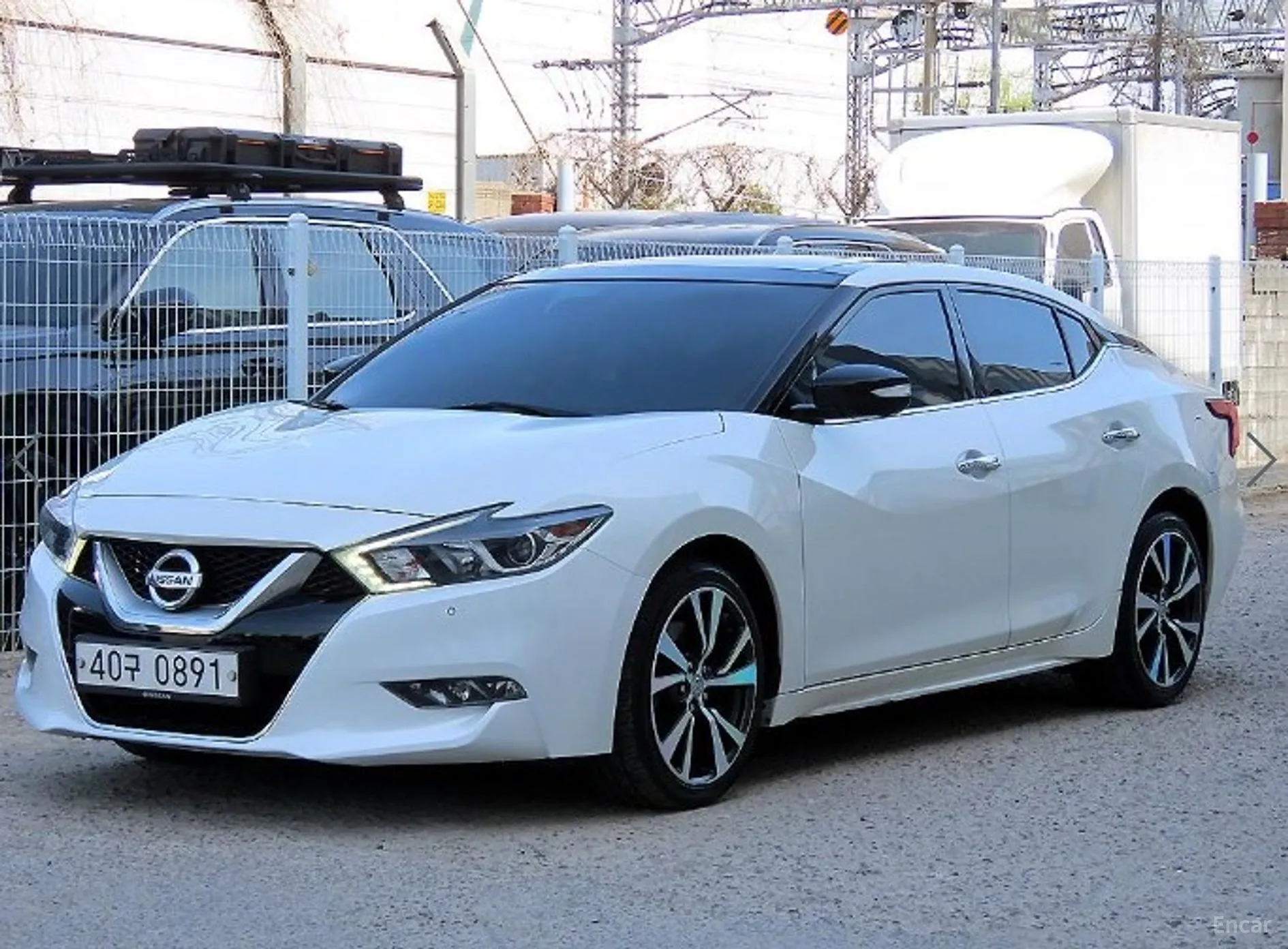 Nissan Maxima (A36)
