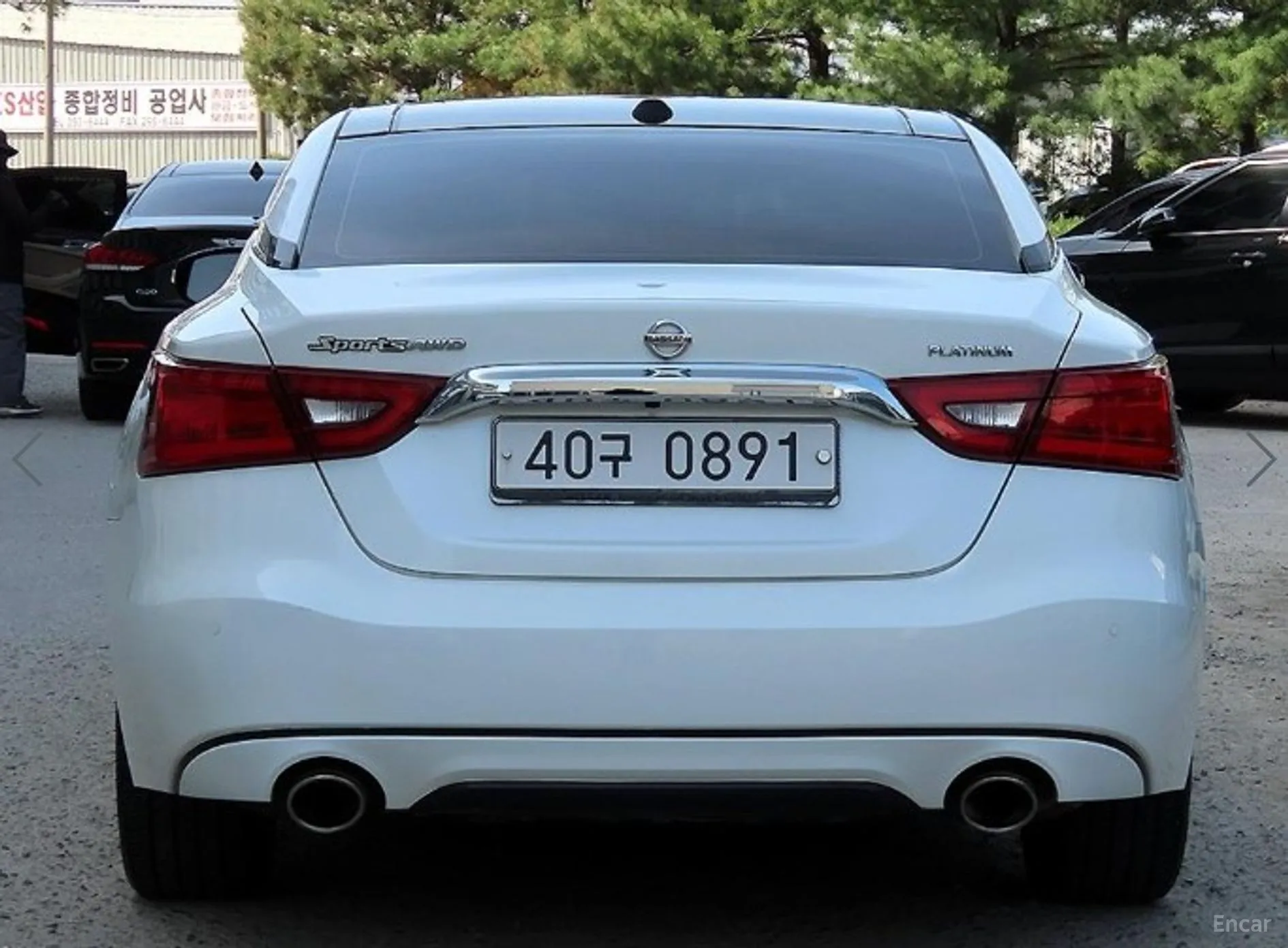 Nissan Maxima (A36) превью 4