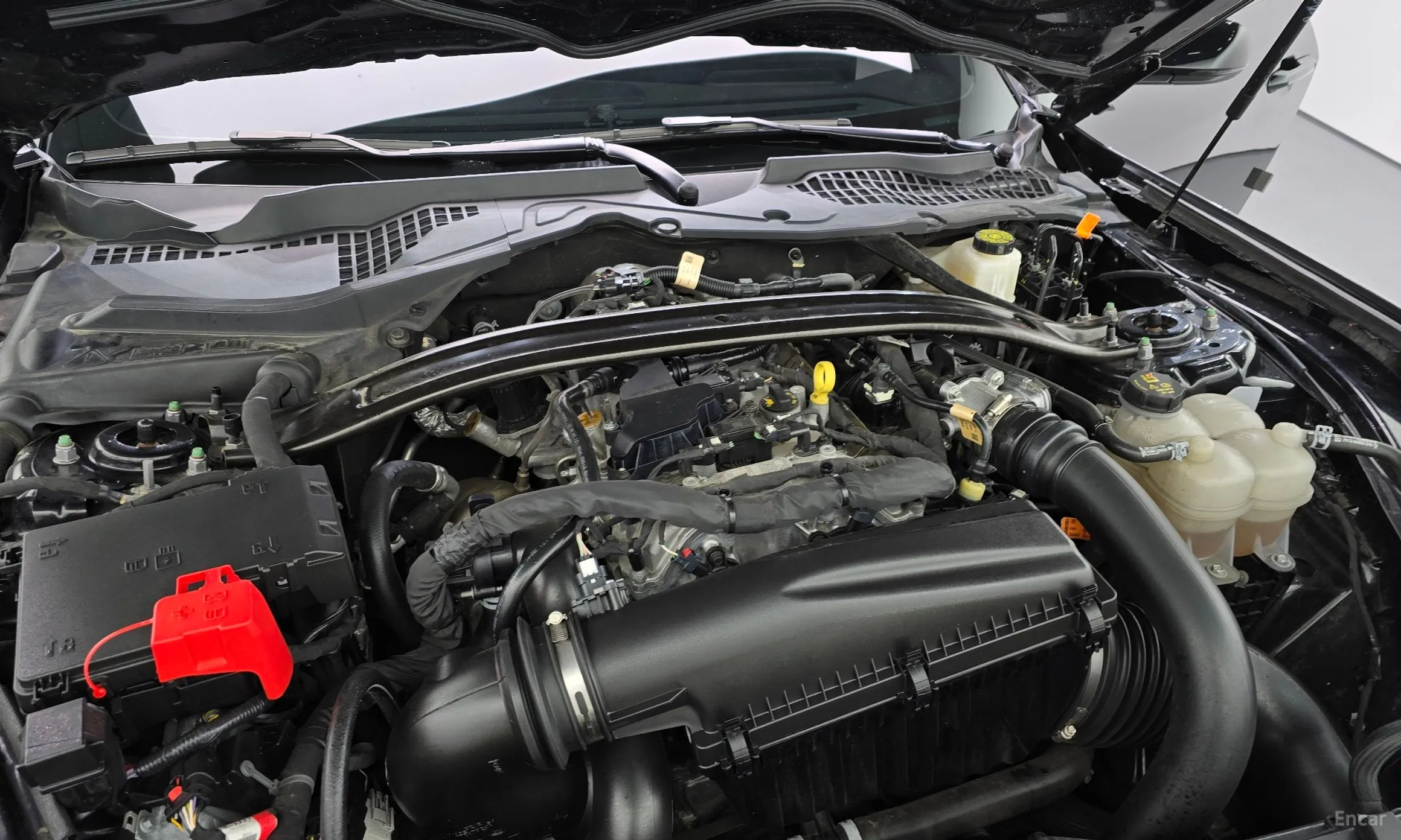 Ford Mustang 7th Generation превью 6