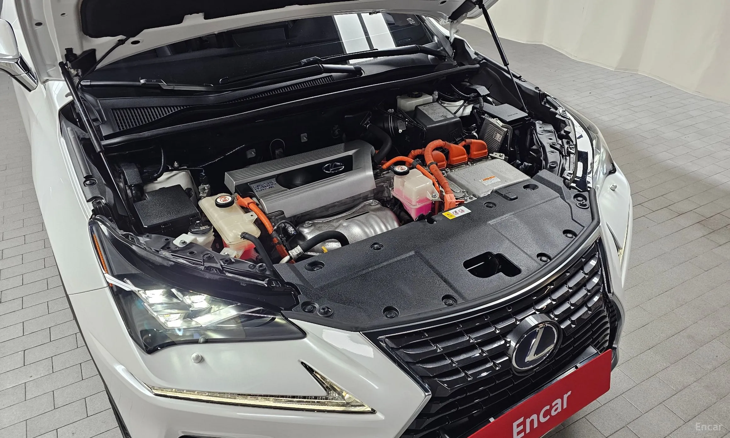 Lexus NX300h превью 6
