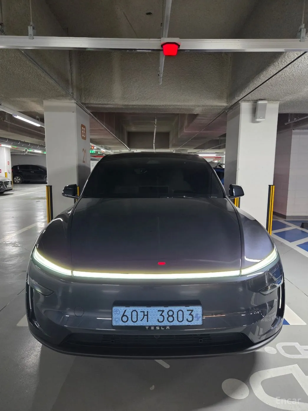 Model Y