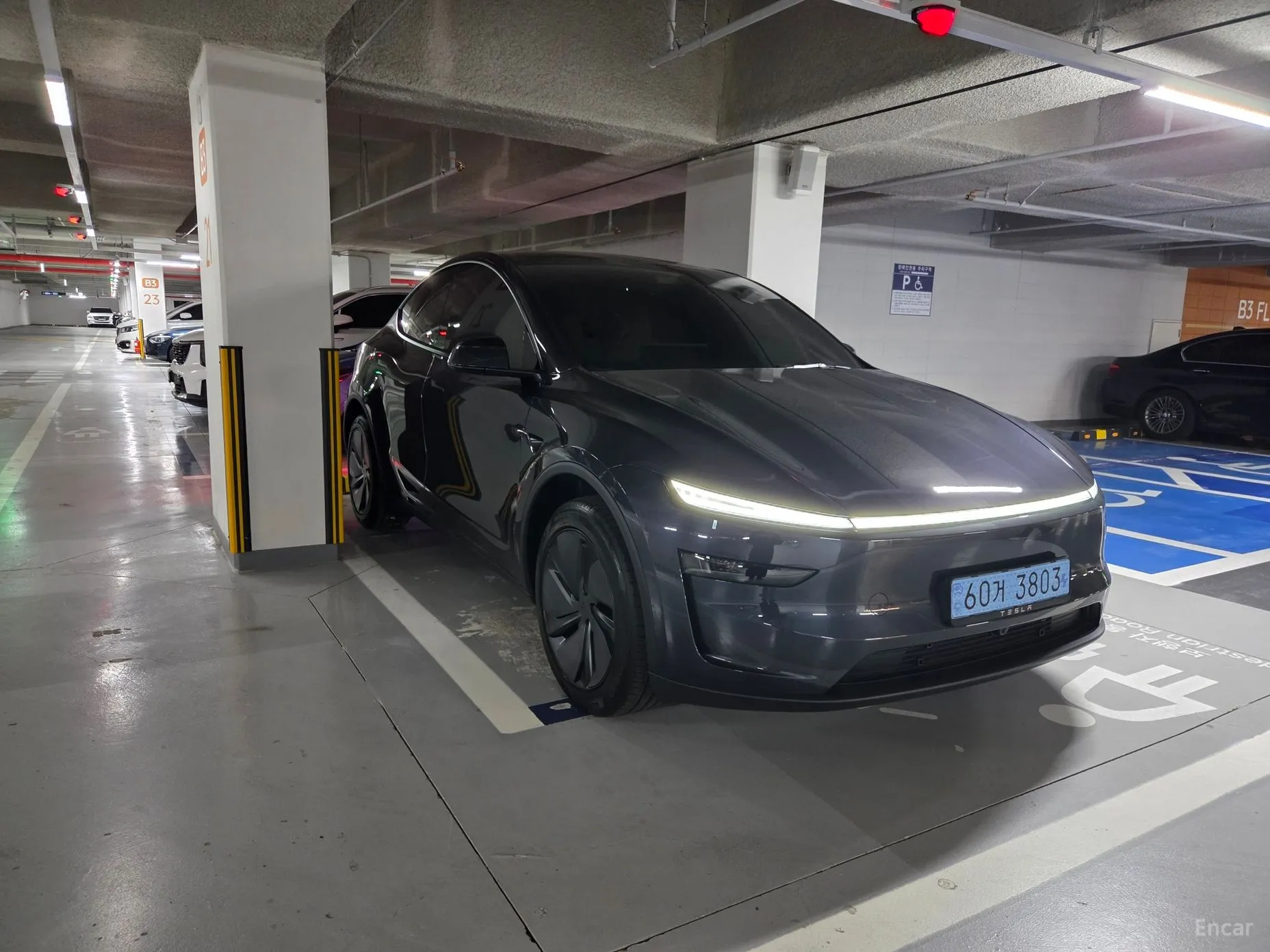 Tesla Model Y превью 2