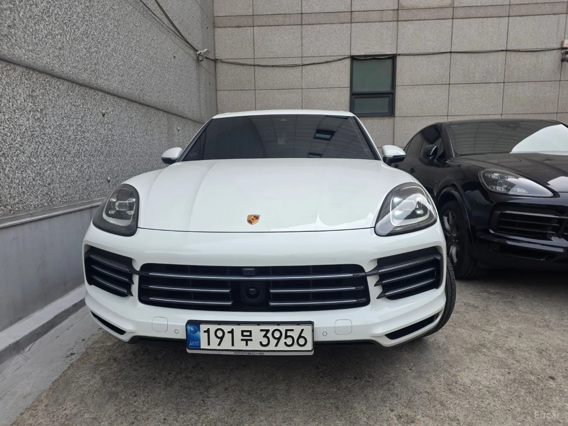 Cayenne (PO536)