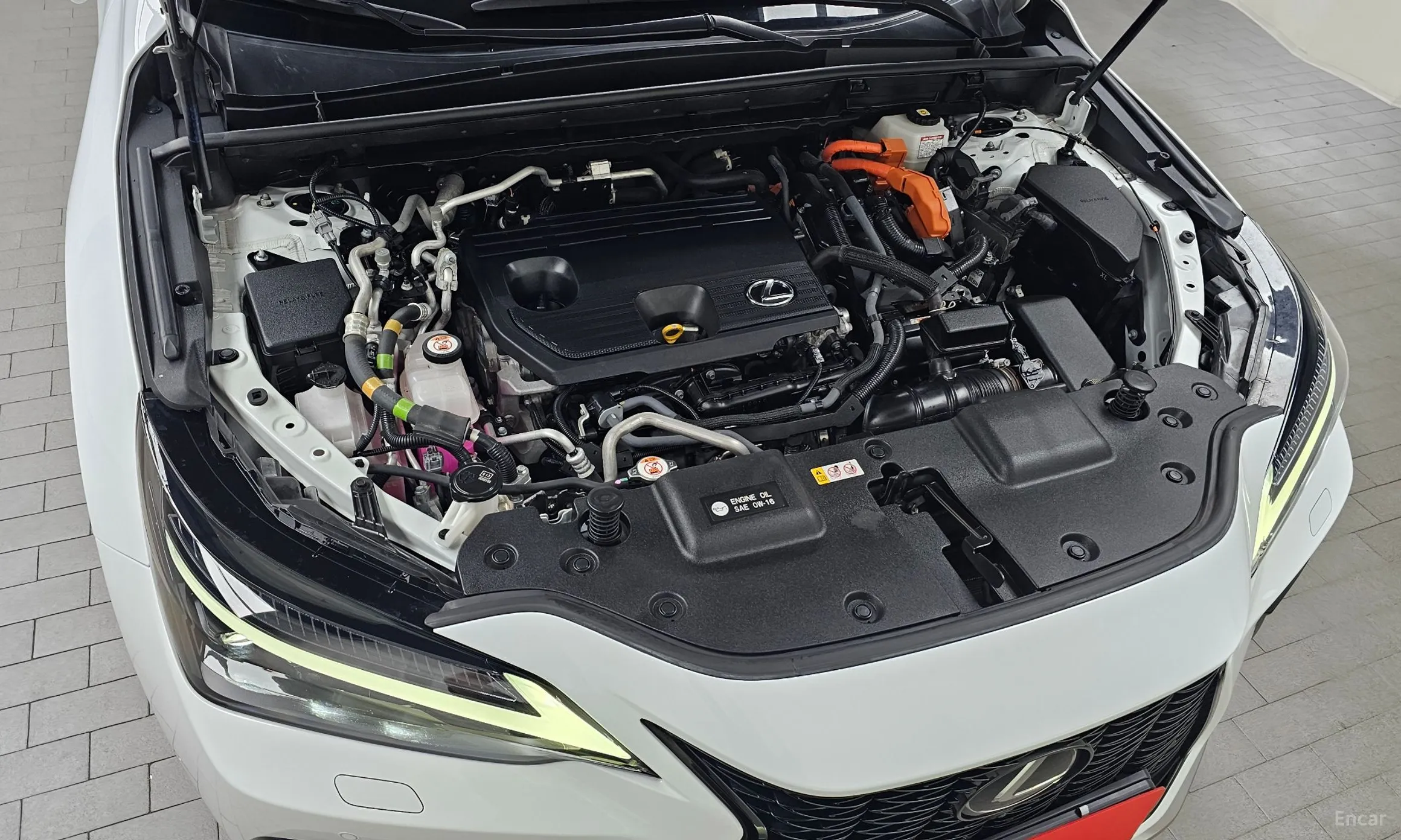 Lexus NX450h + 2nd Gen превью 6