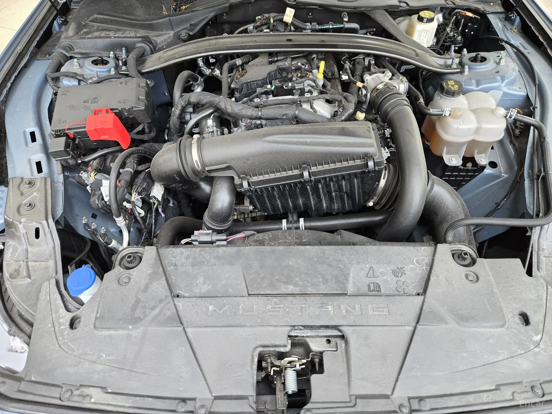 Ford Mustang 7th Generation превью 6