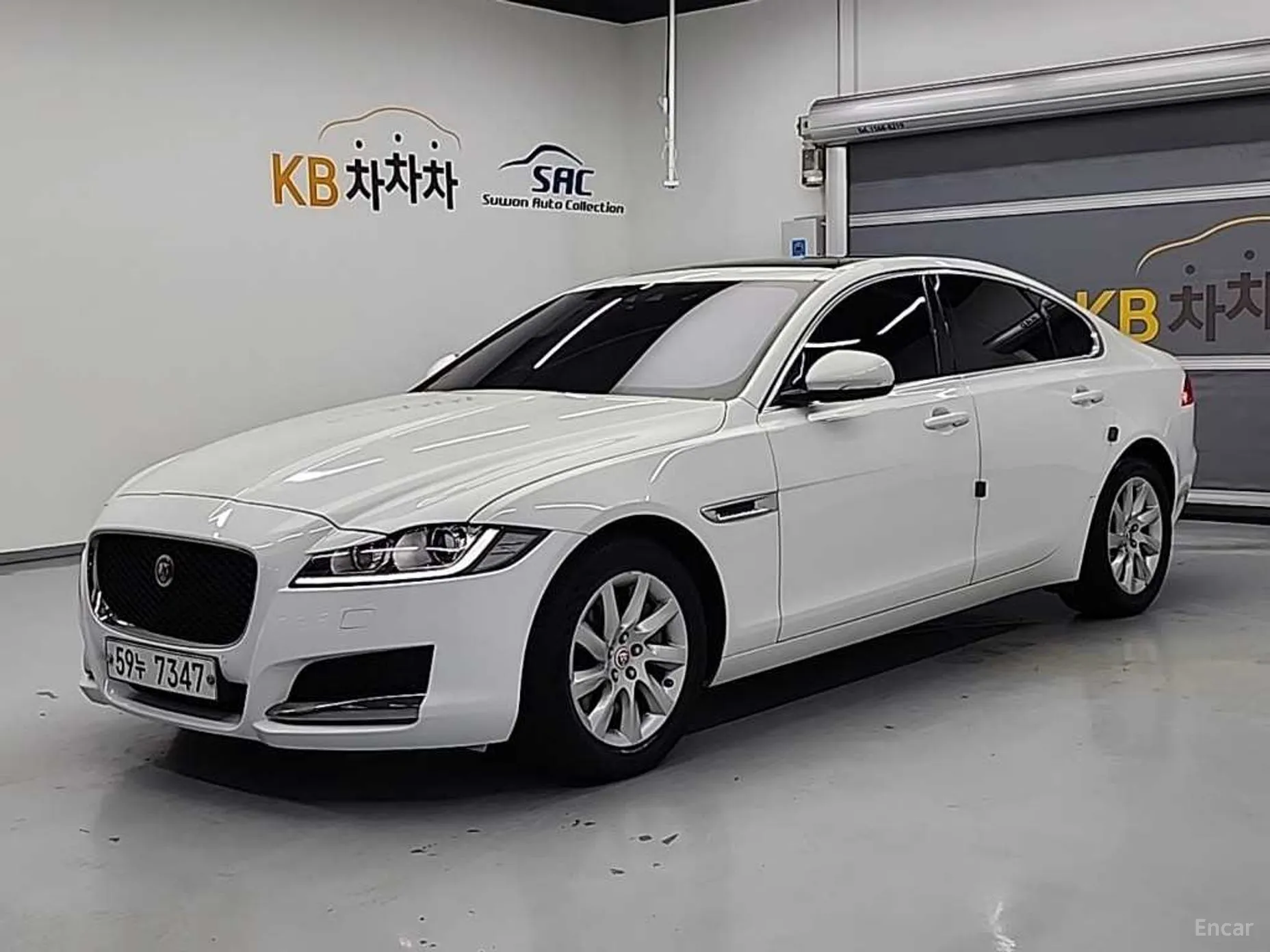 XF (x260)