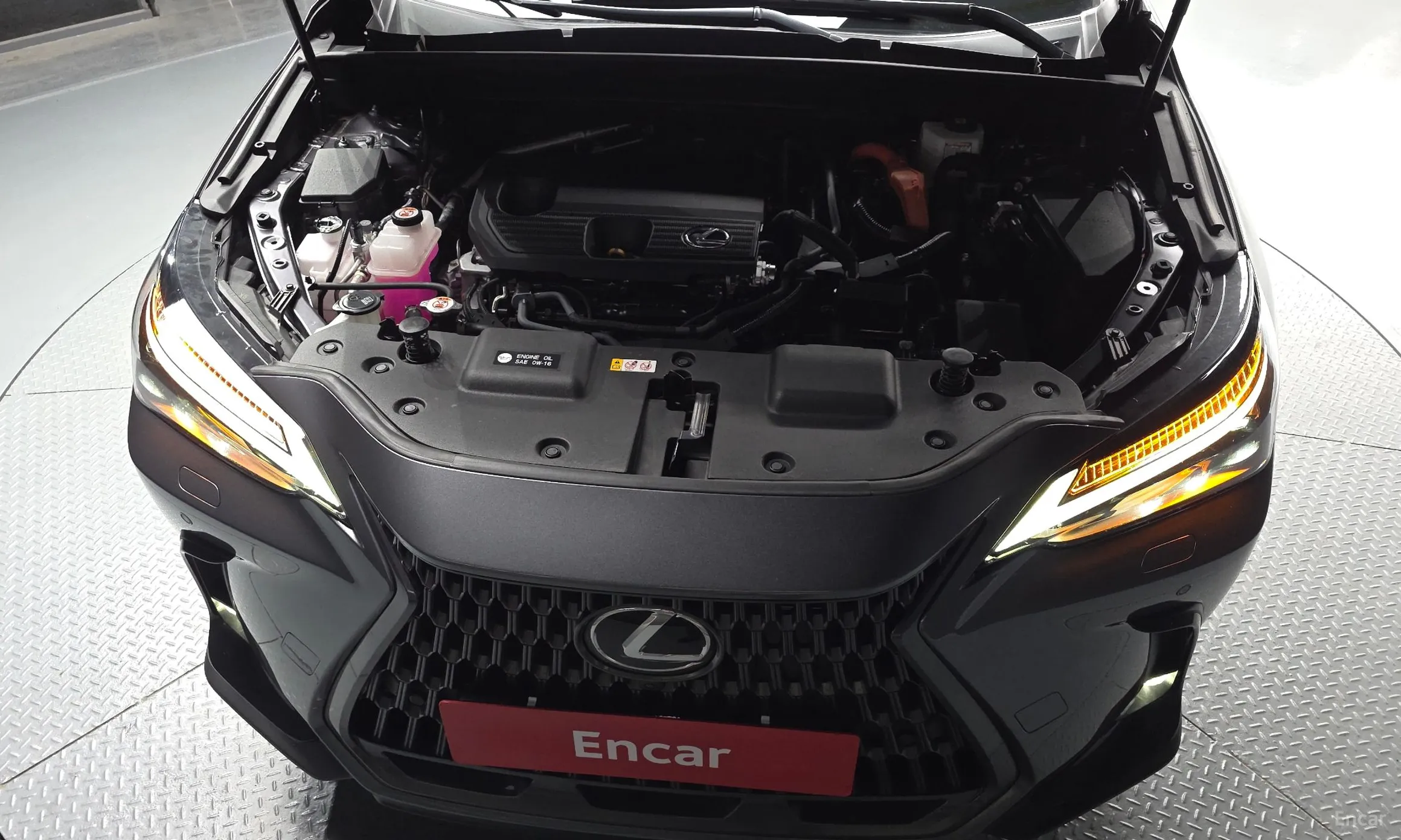 Lexus NX350h Gen 2 превью 6