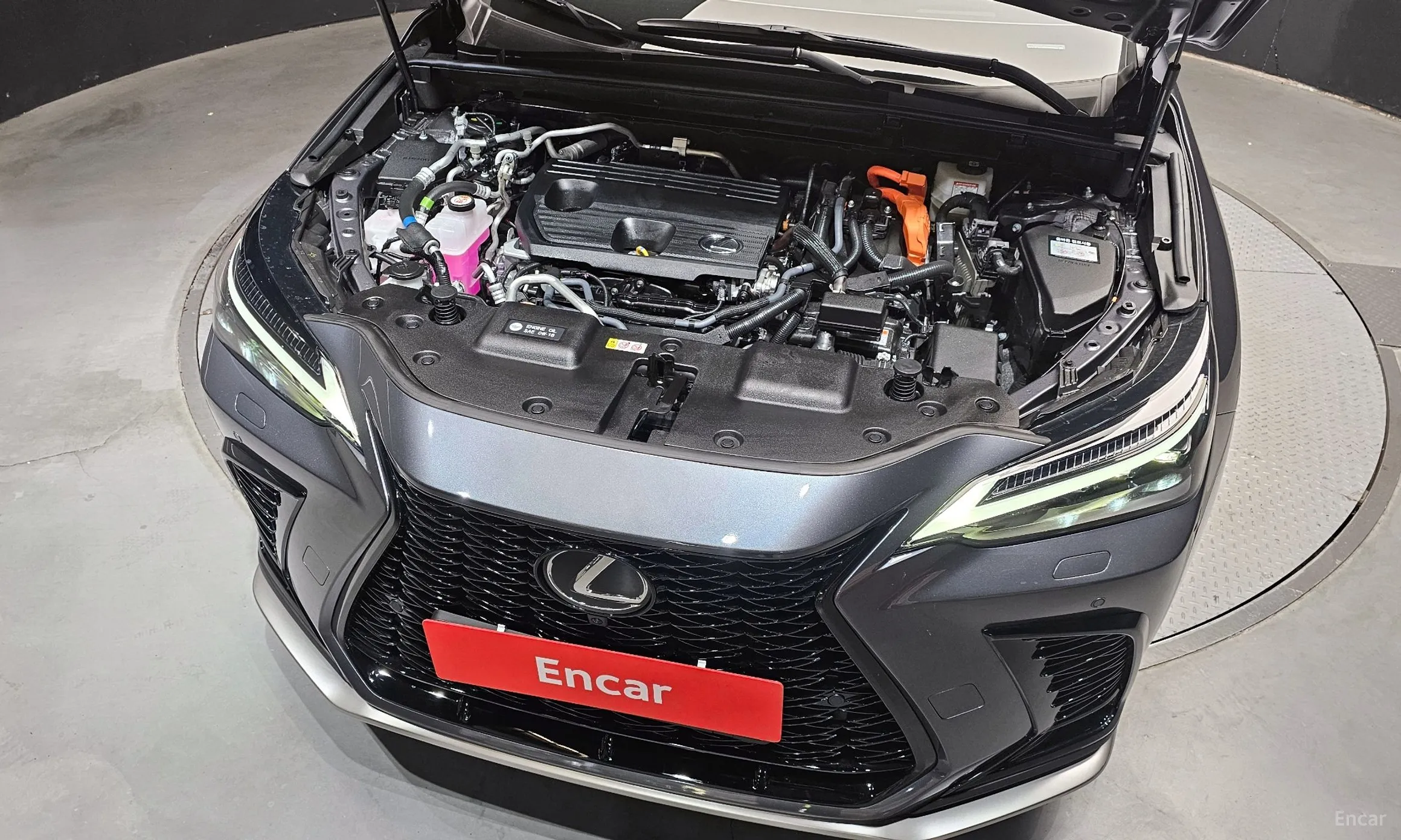 Lexus NX450h + 2nd Gen превью 6