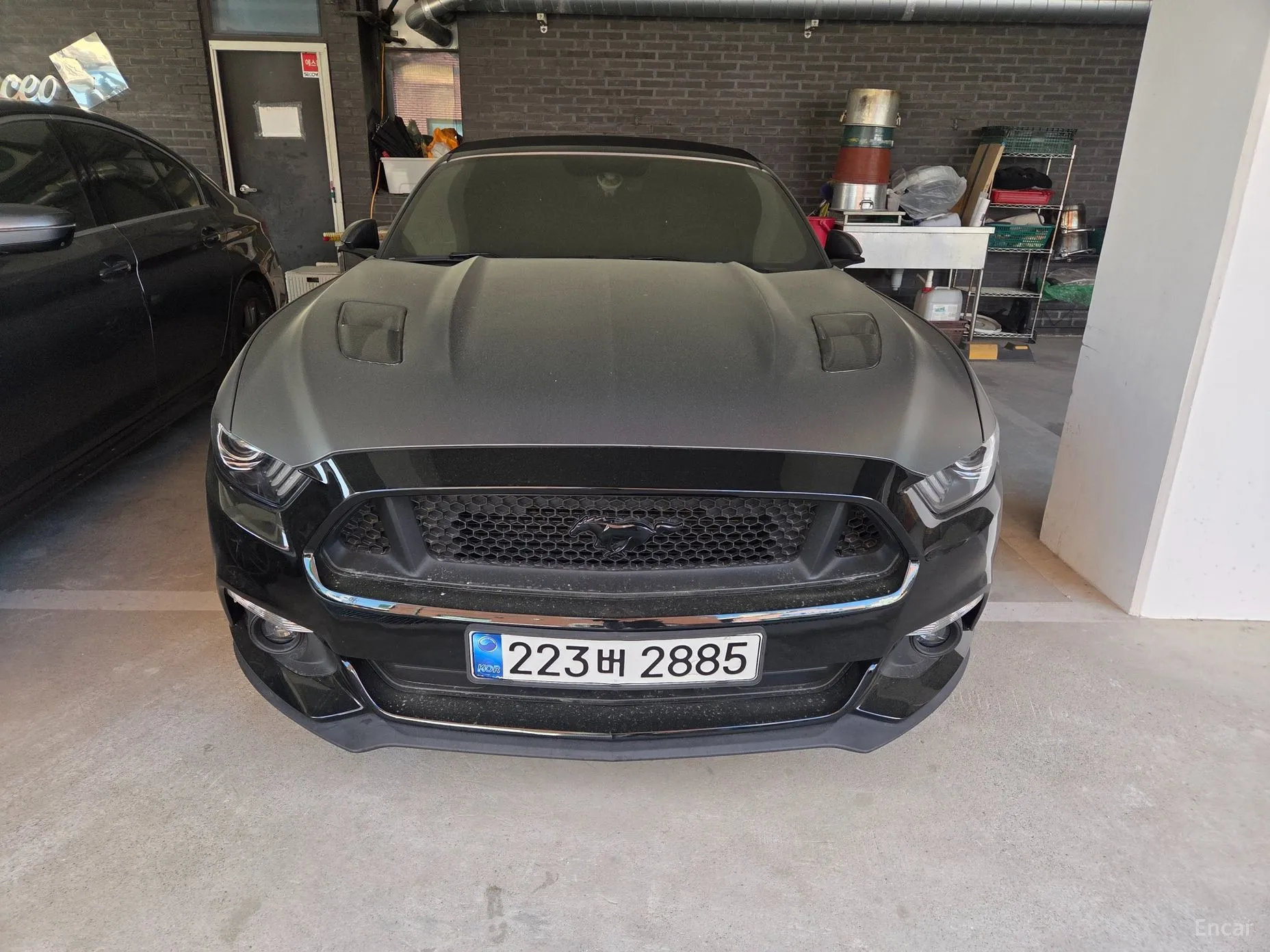 Mustang