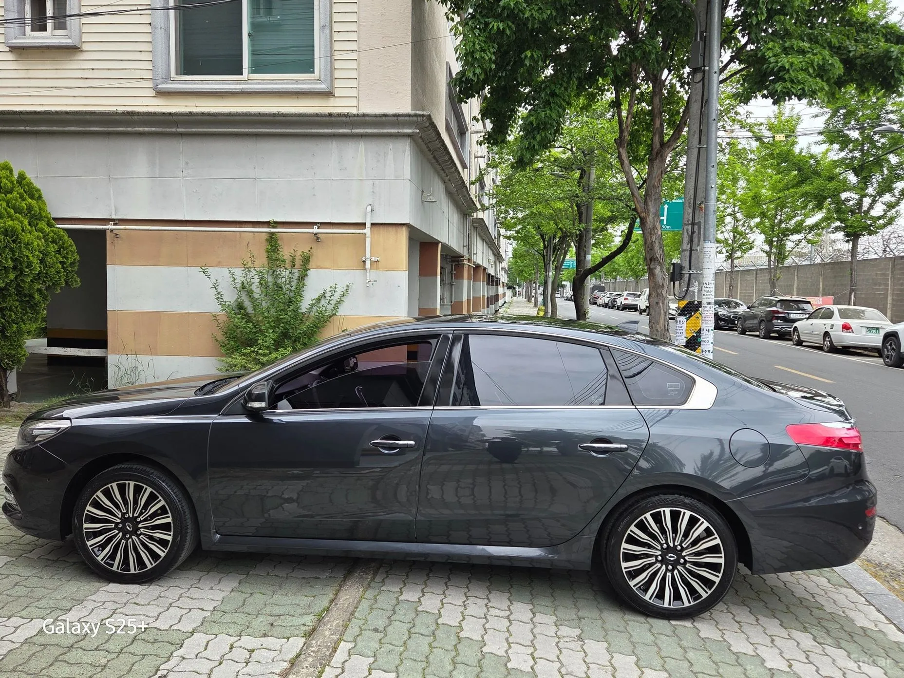 Renault Korea (Samsung) SM7 превью 8