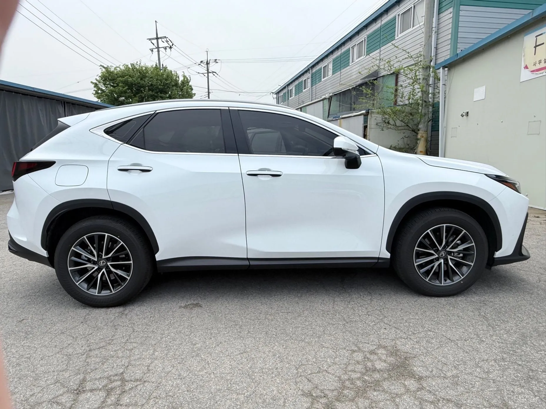 Lexus NX450h + 2nd Gen превью 3