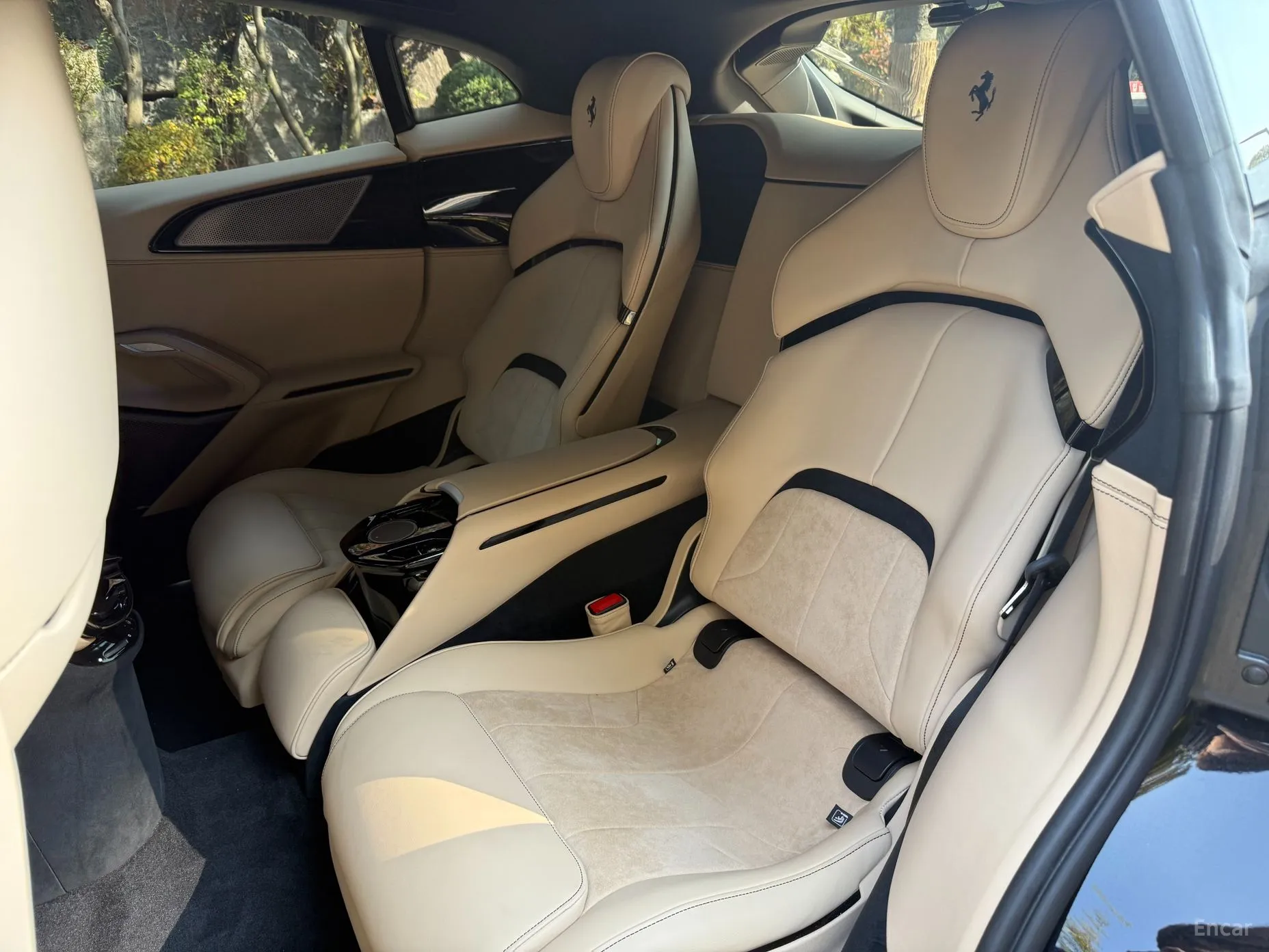 Ferrari Puro Sange превью 10