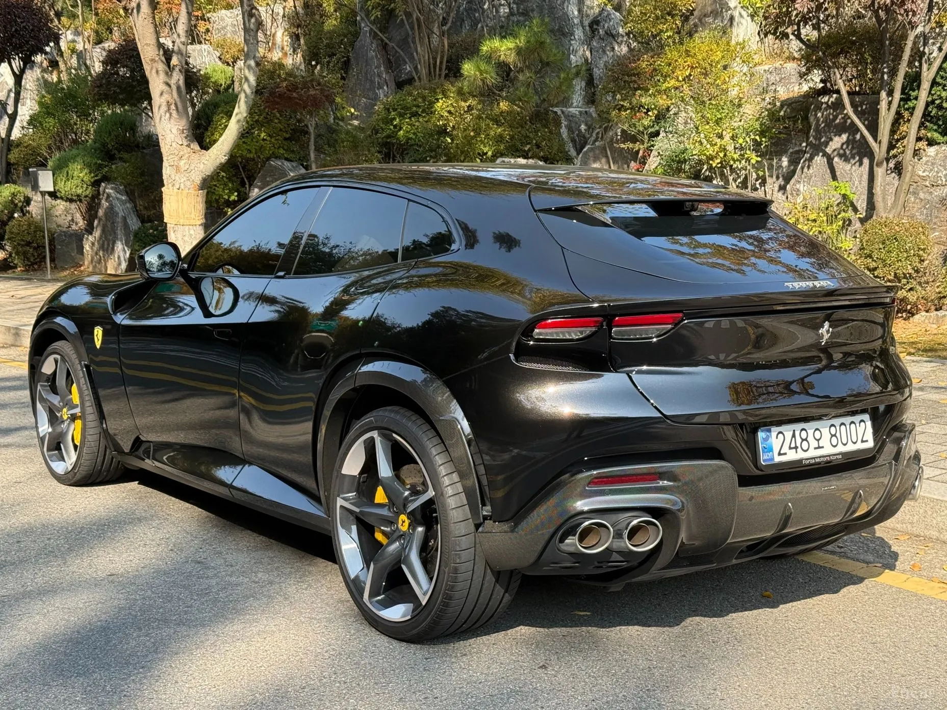 Ferrari Puro Sange превью 2