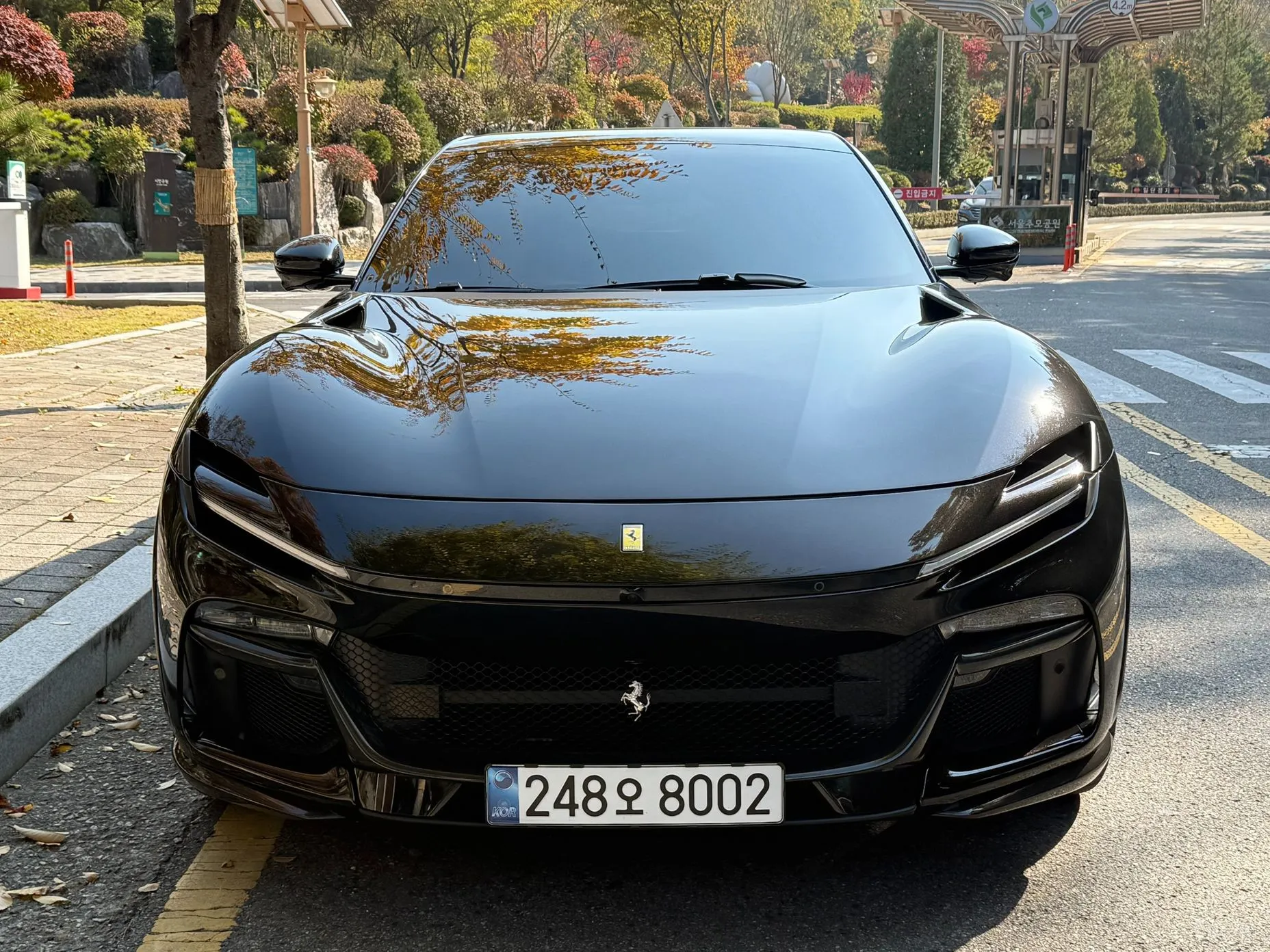 Ferrari Puro Sange превью 3