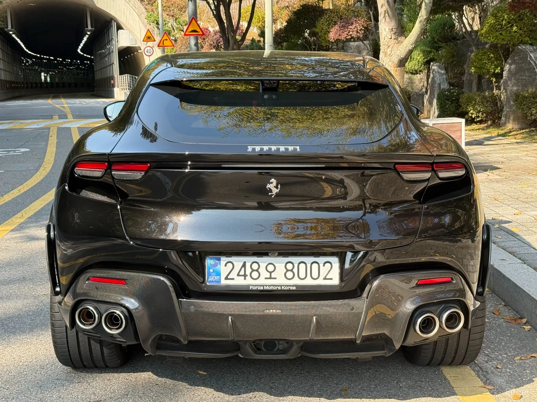 Ferrari Puro Sange превью 4