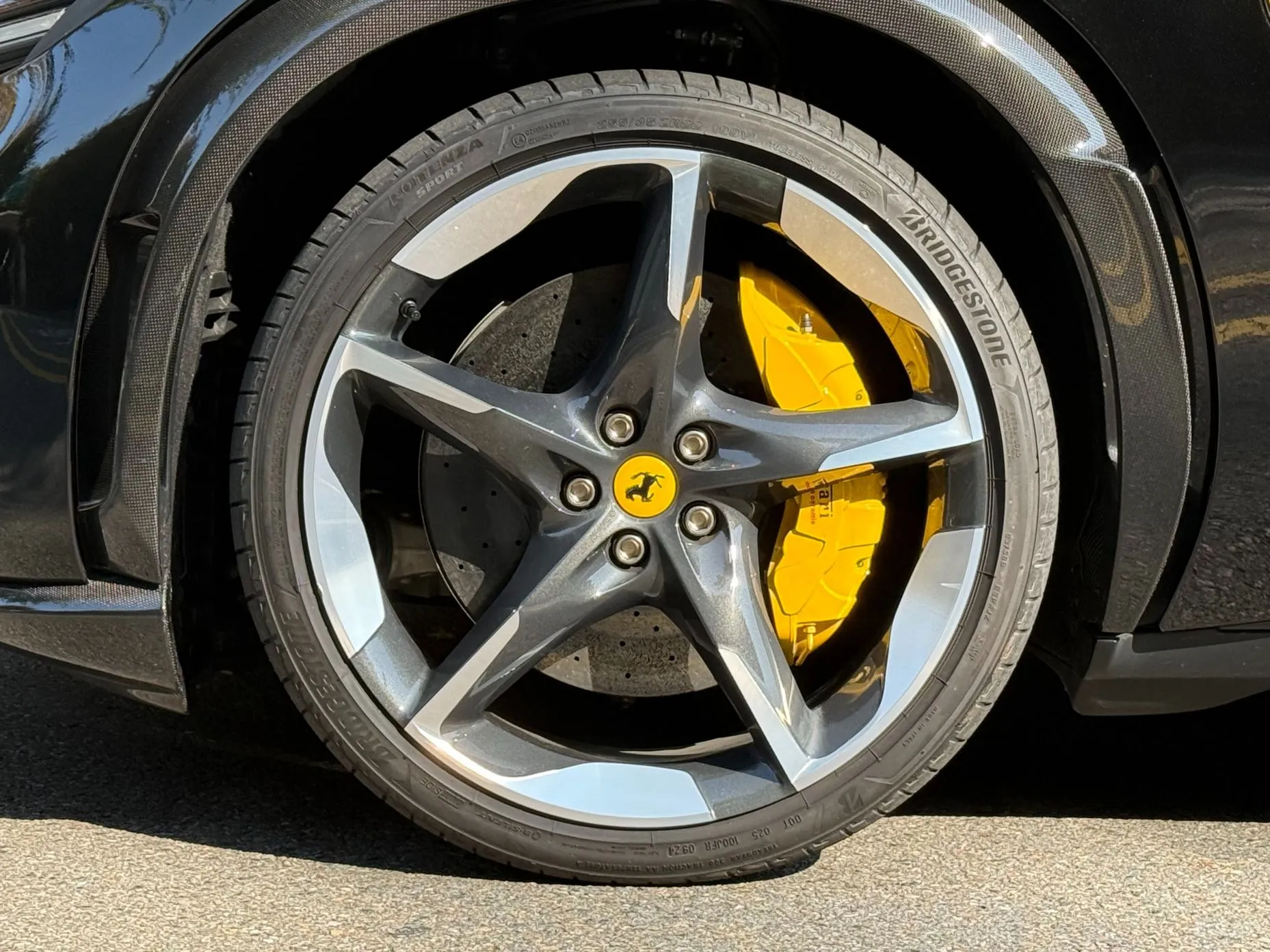 Ferrari Puro Sange превью 5