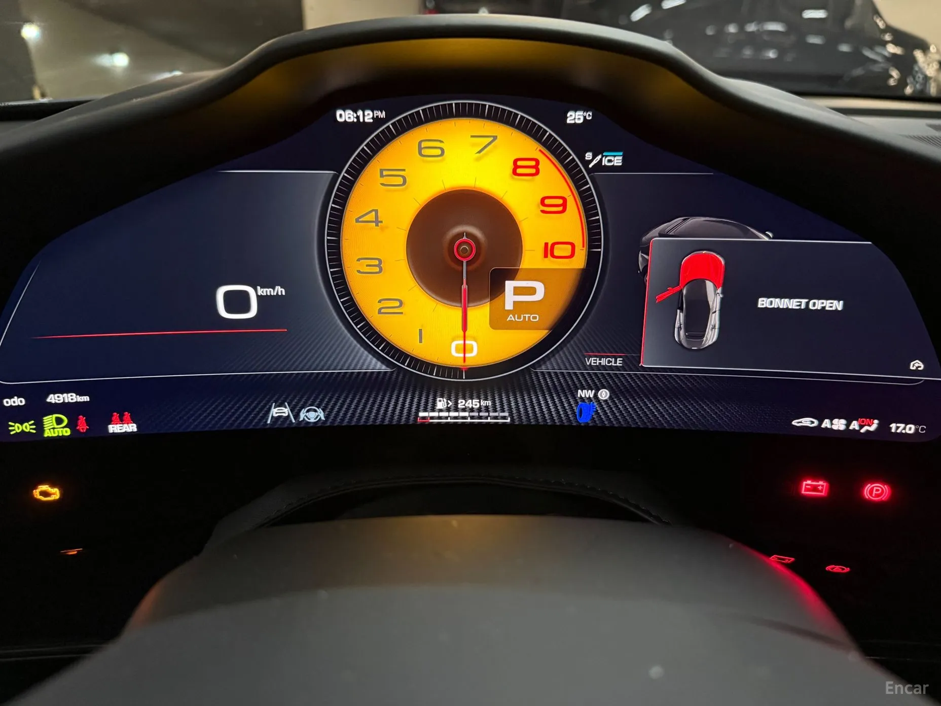 Ferrari Puro Sange превью 8