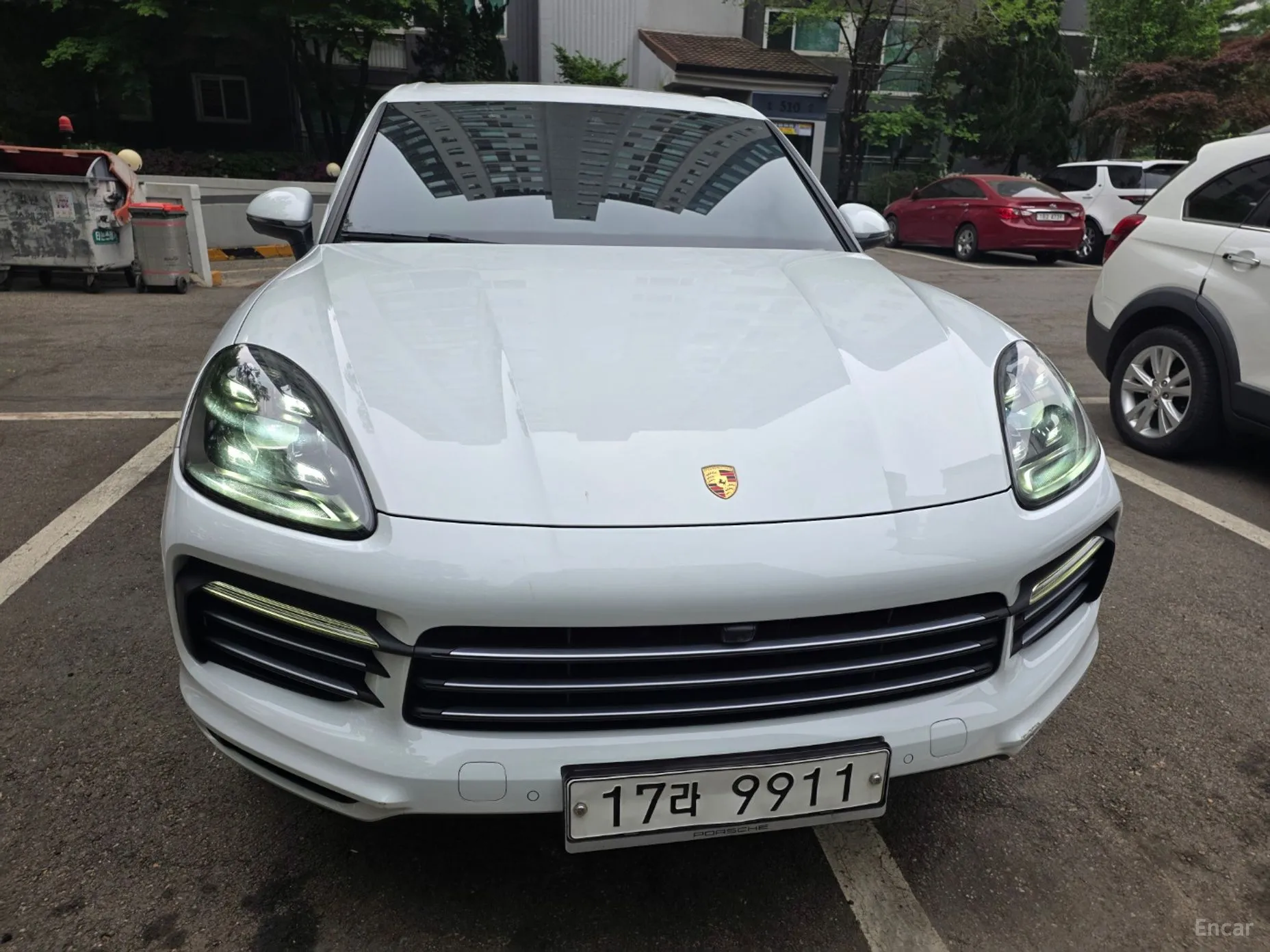 Cayenne (PO536)