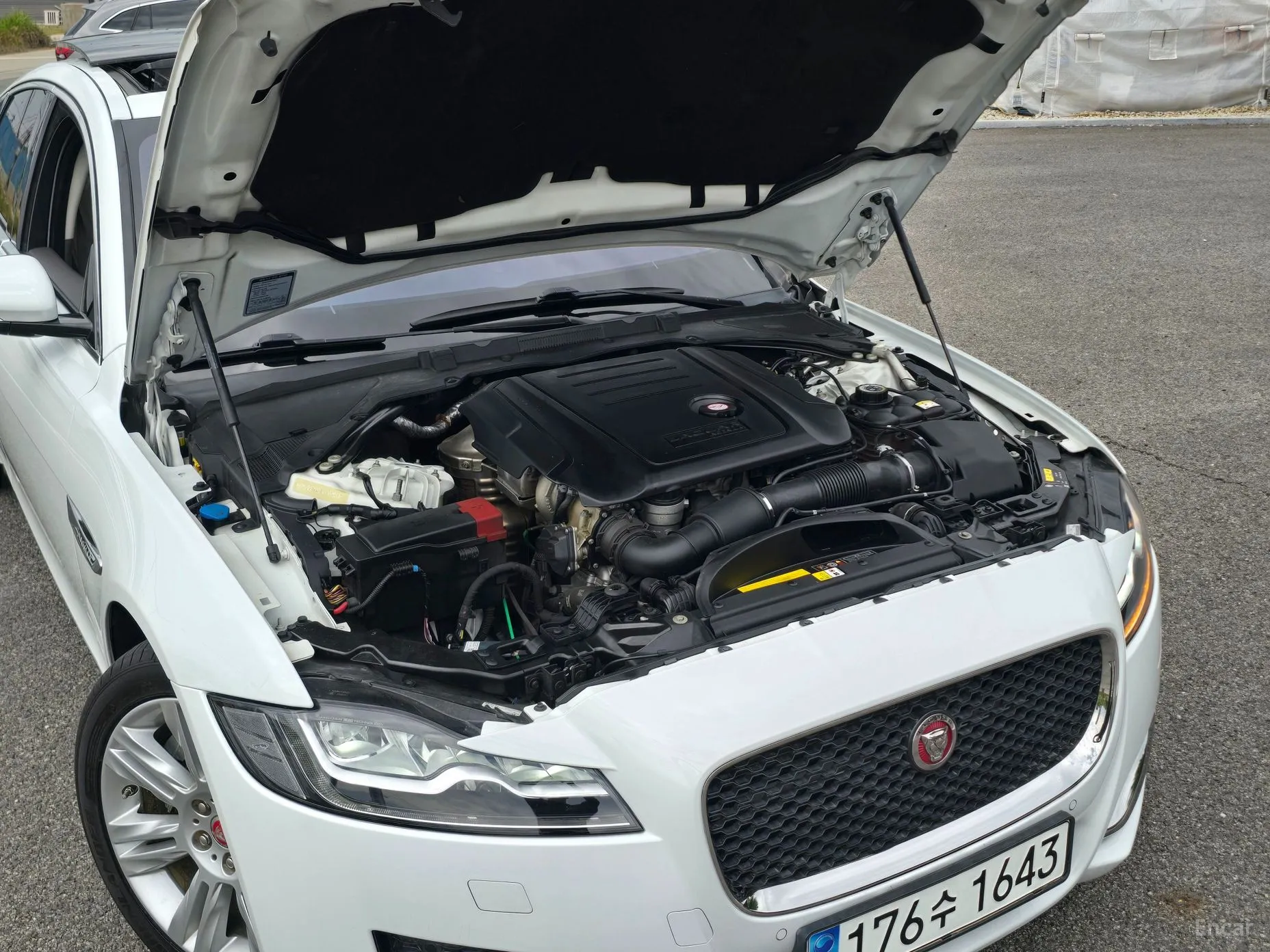 Jaguar XF (x260) превью 20