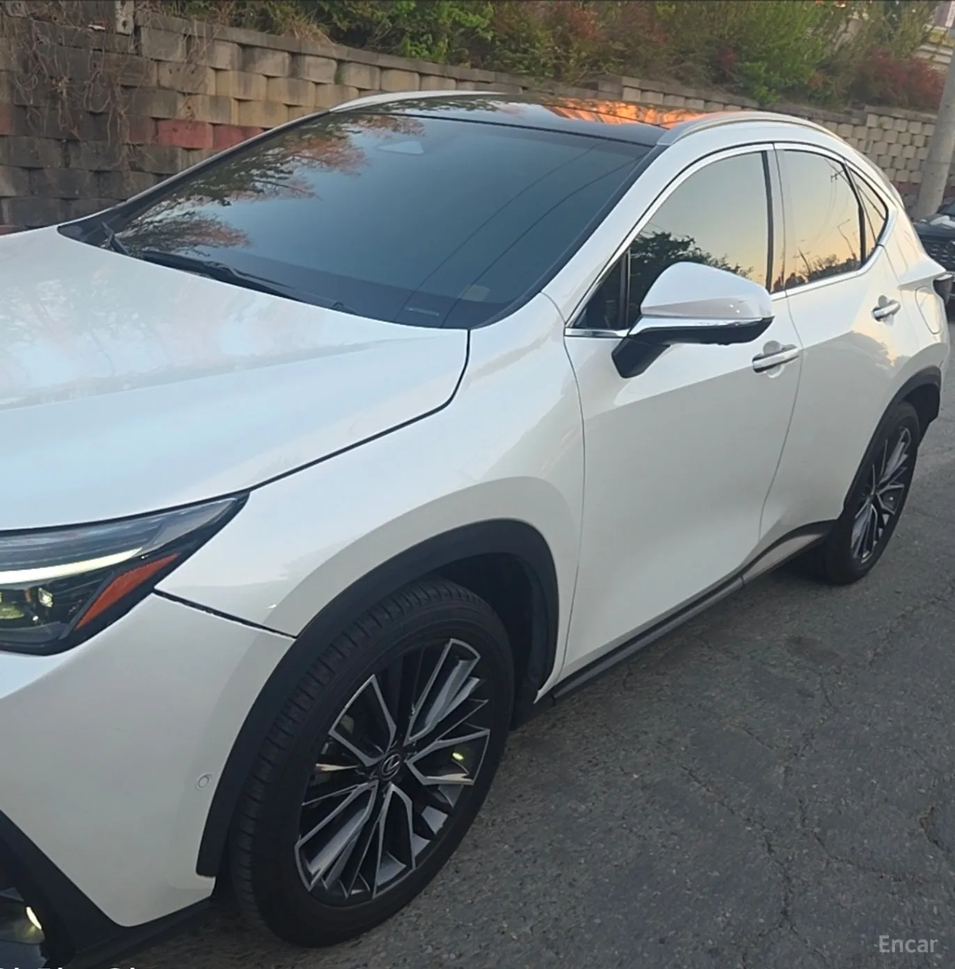 Lexus NX350h Gen 2 превью 3