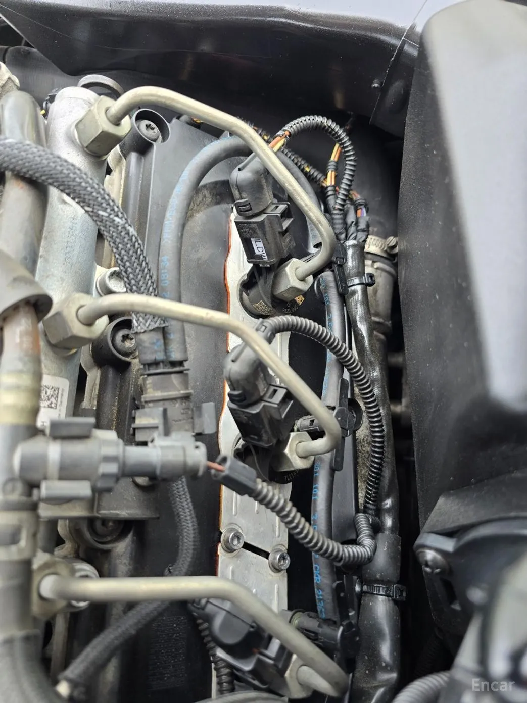 Volkswagen Phyton превью 19