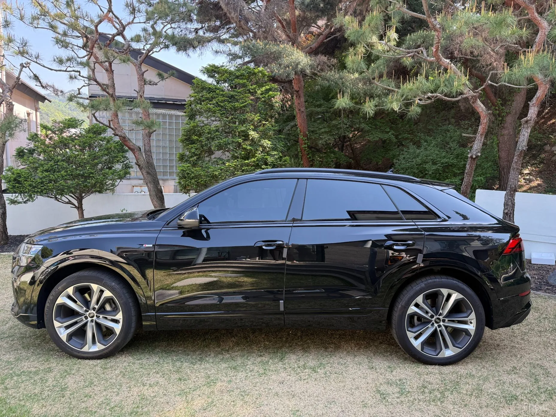 Audi Q8 (4M) превью 3