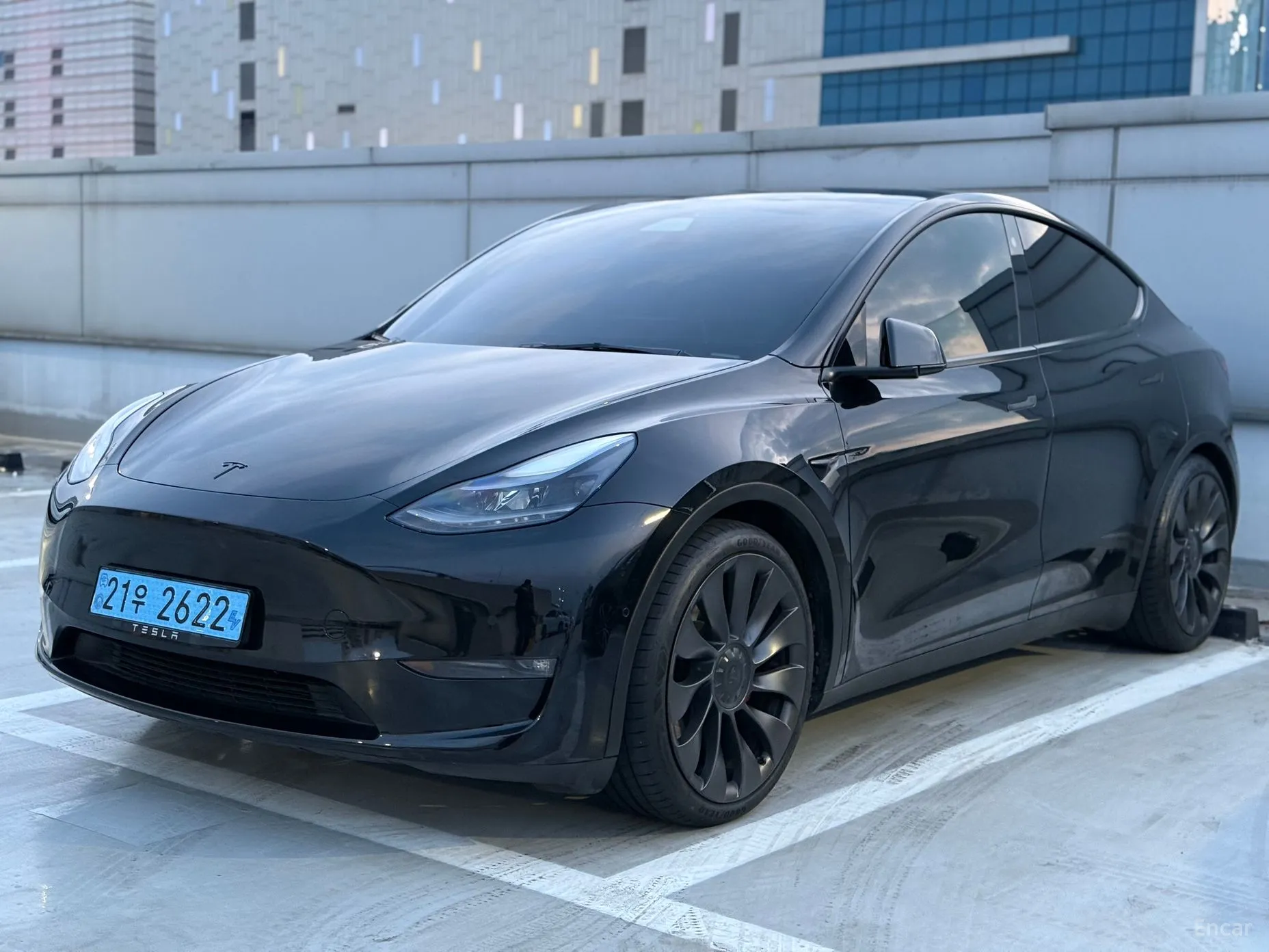 Model Y