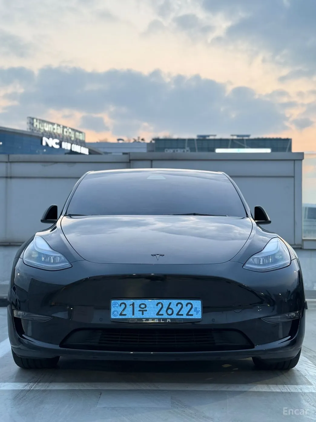 Tesla Model Y превью 3