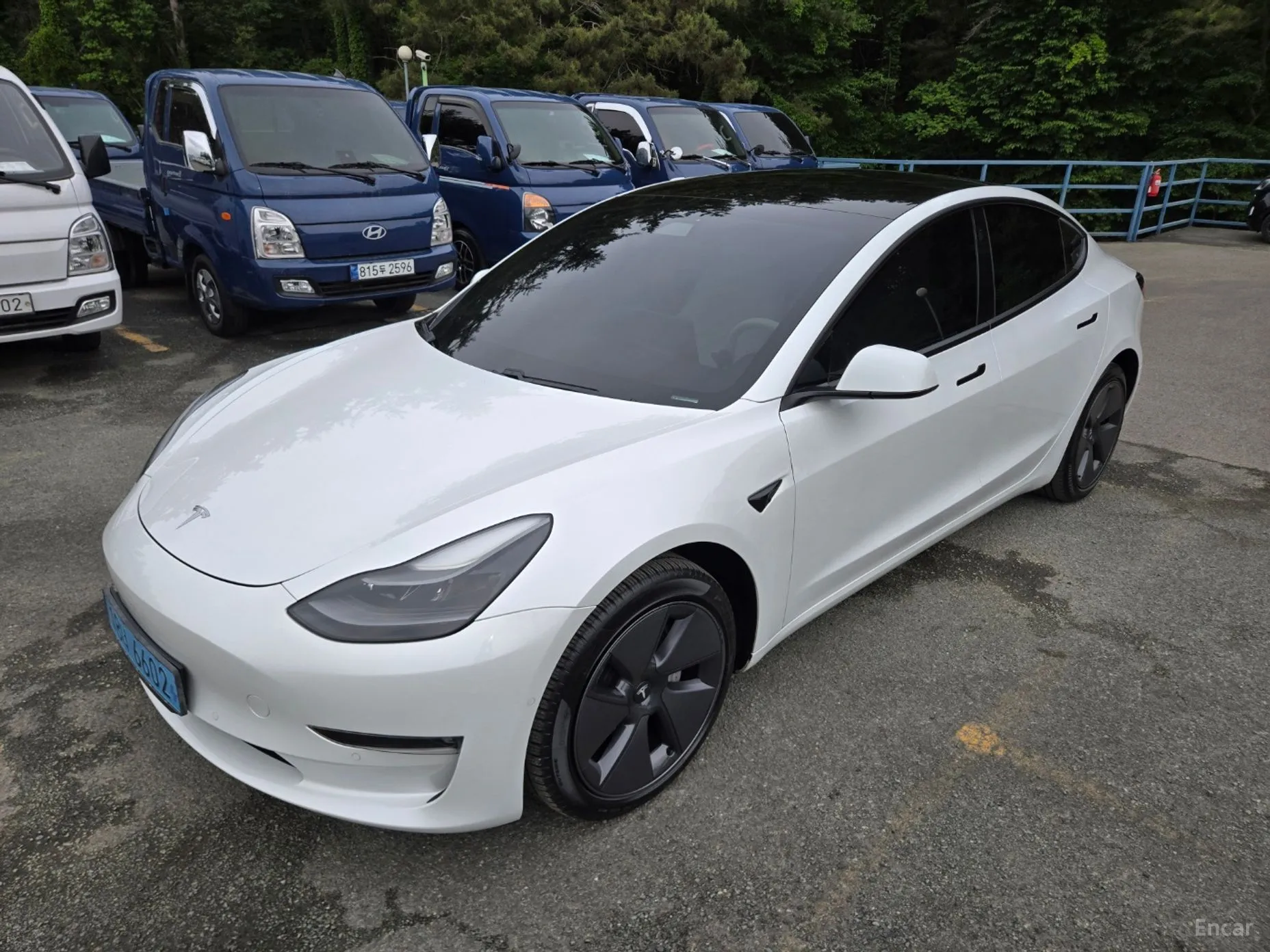 Tesla Model 3 превью 3