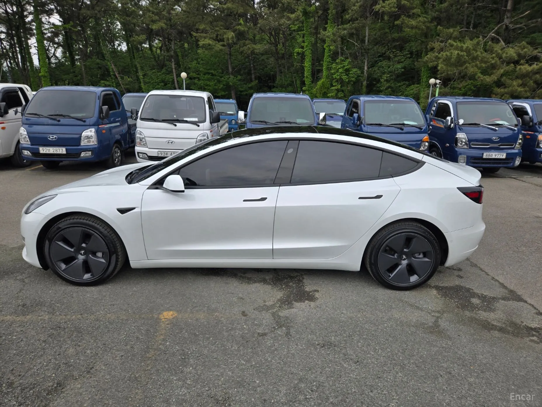 Tesla Model 3 превью 4