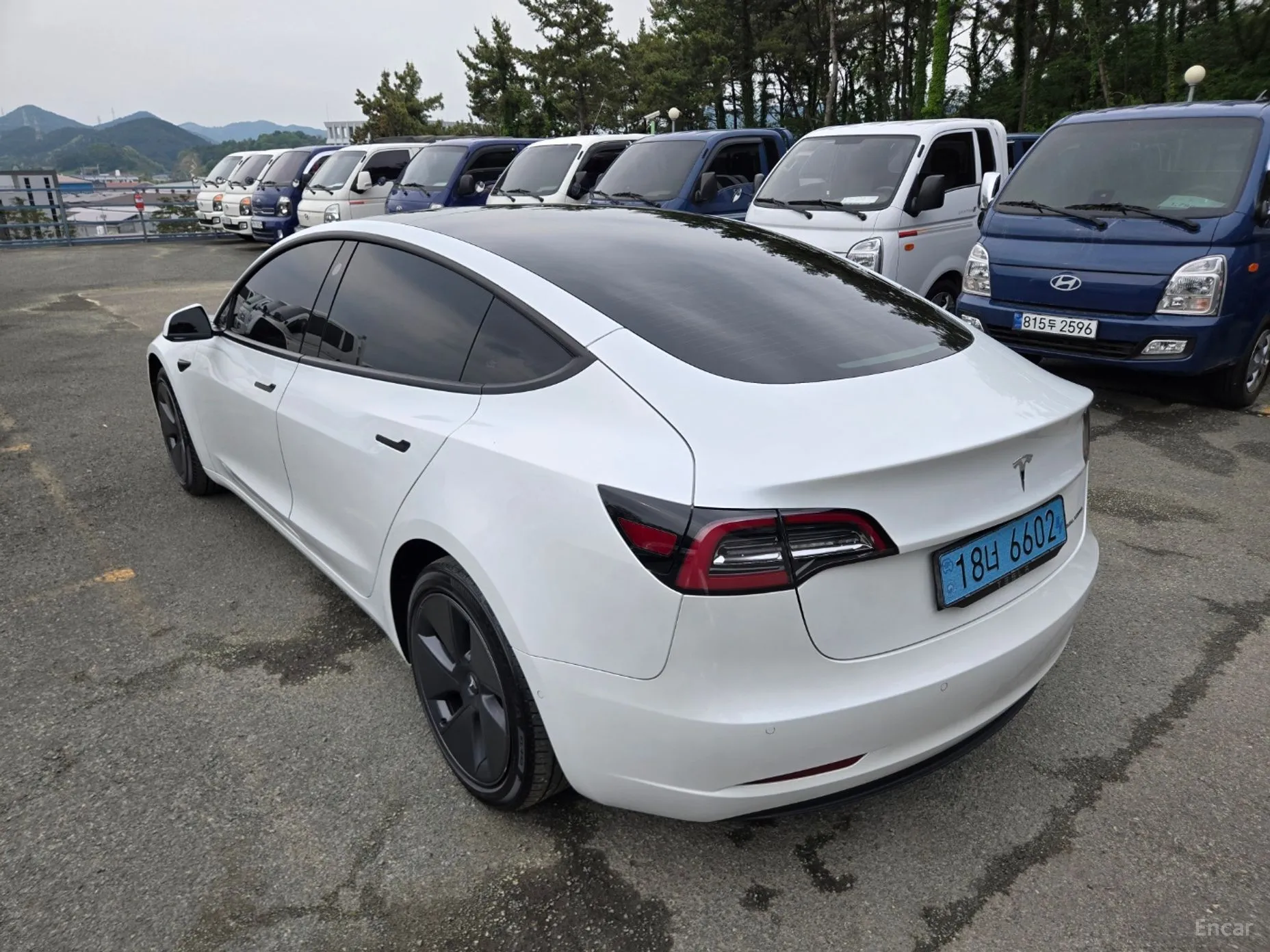 Tesla Model 3 превью 5