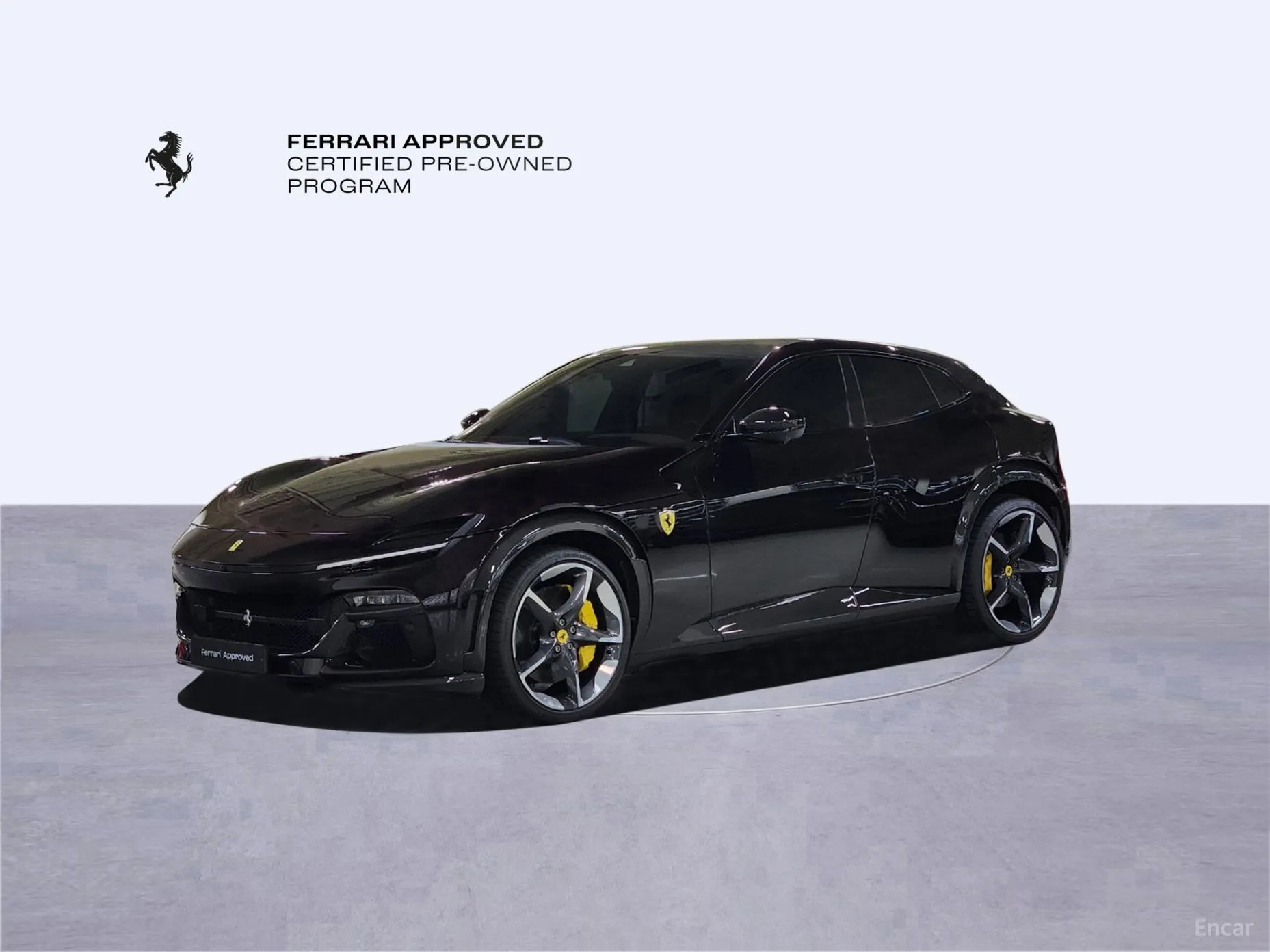 Ferrari Puro Sange превью 10