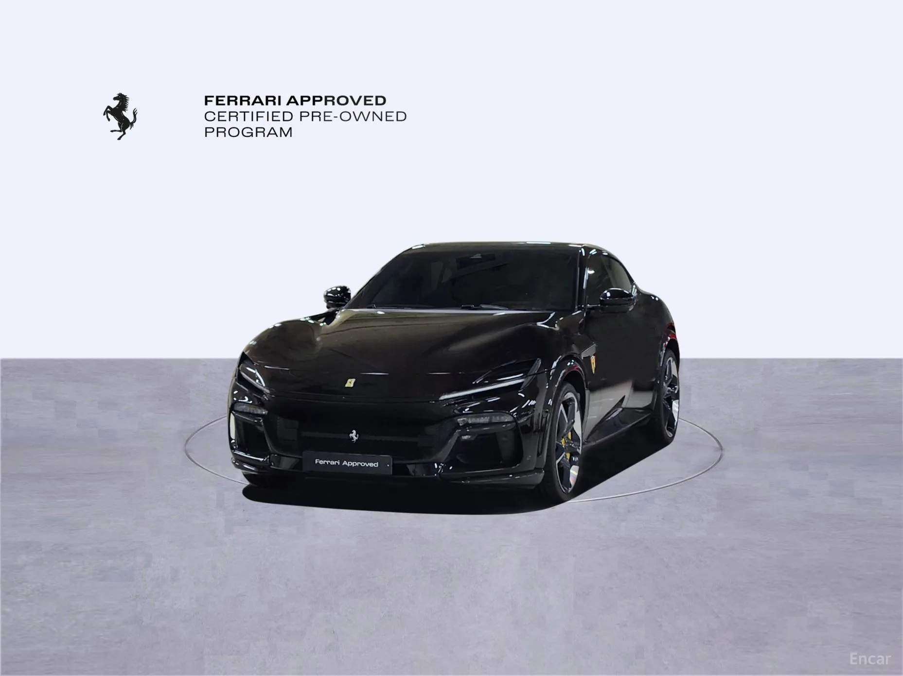 Ferrari Puro Sange превью 11