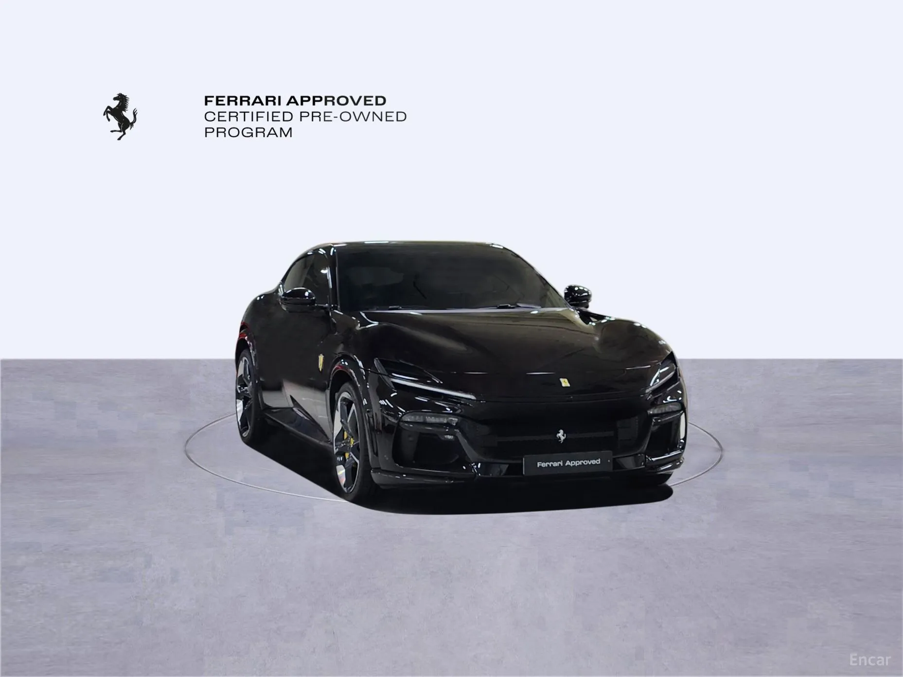 Ferrari Puro Sange превью 3