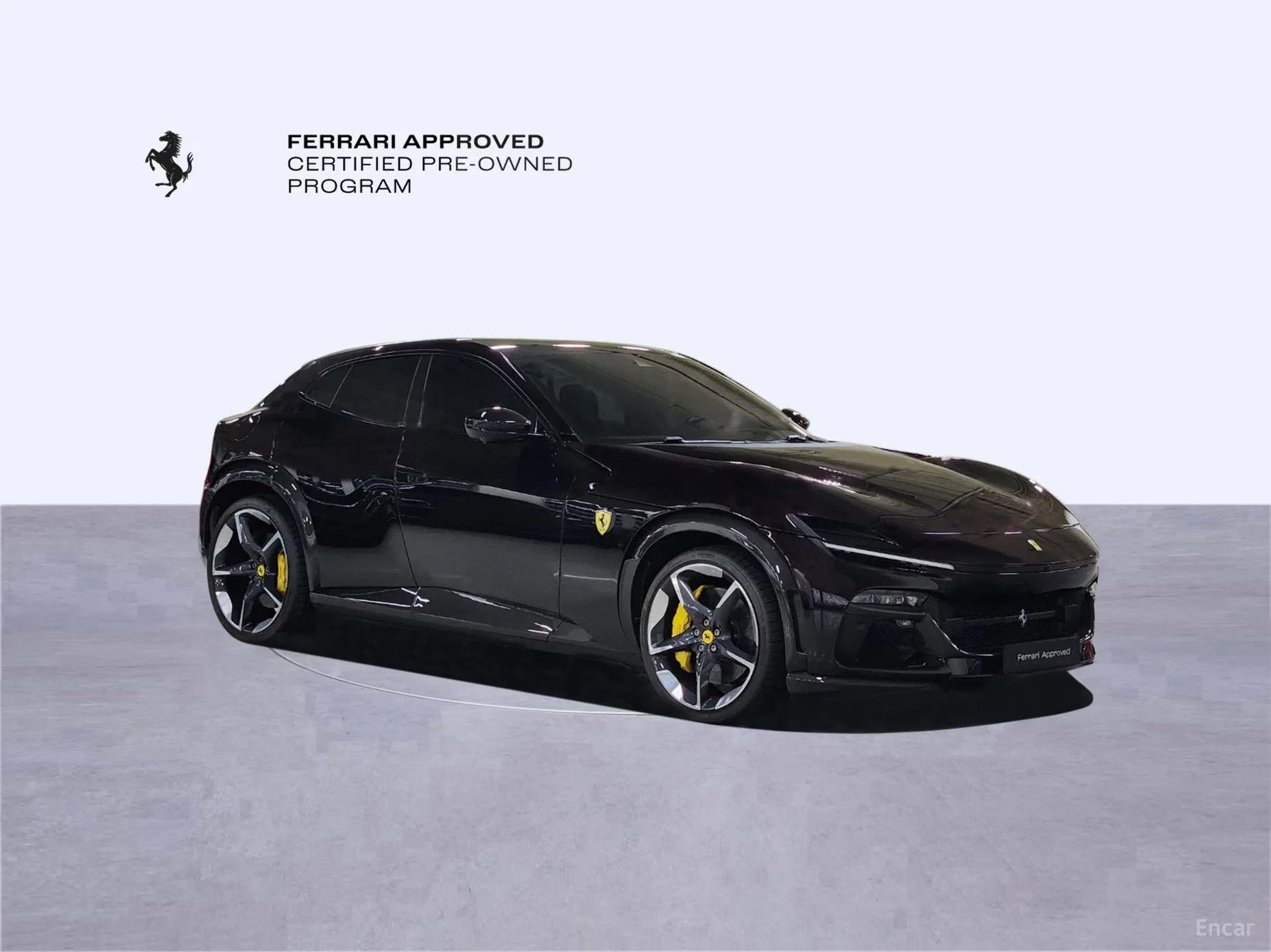 Ferrari Puro Sange превью 4