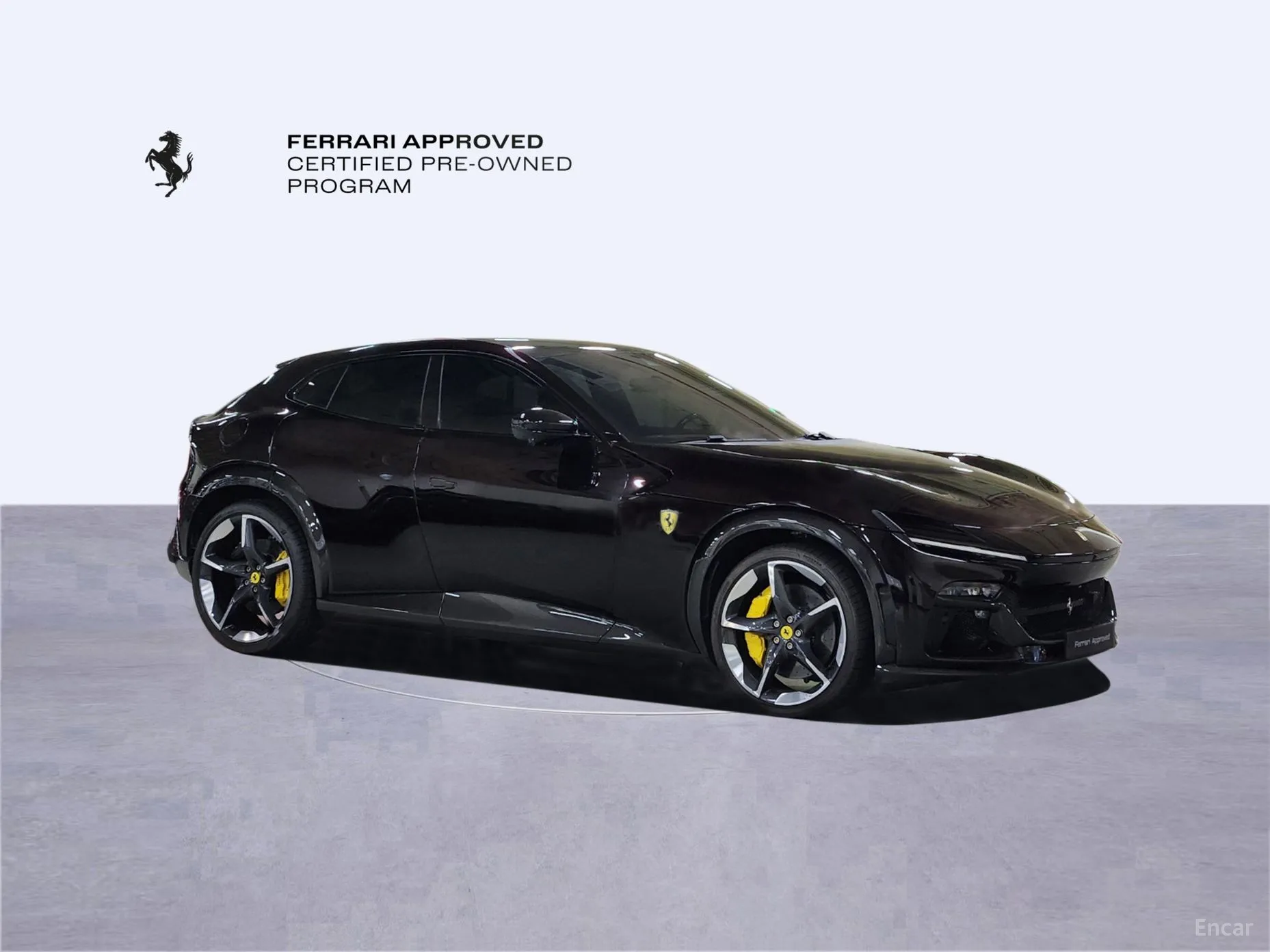 Ferrari Puro Sange превью 5