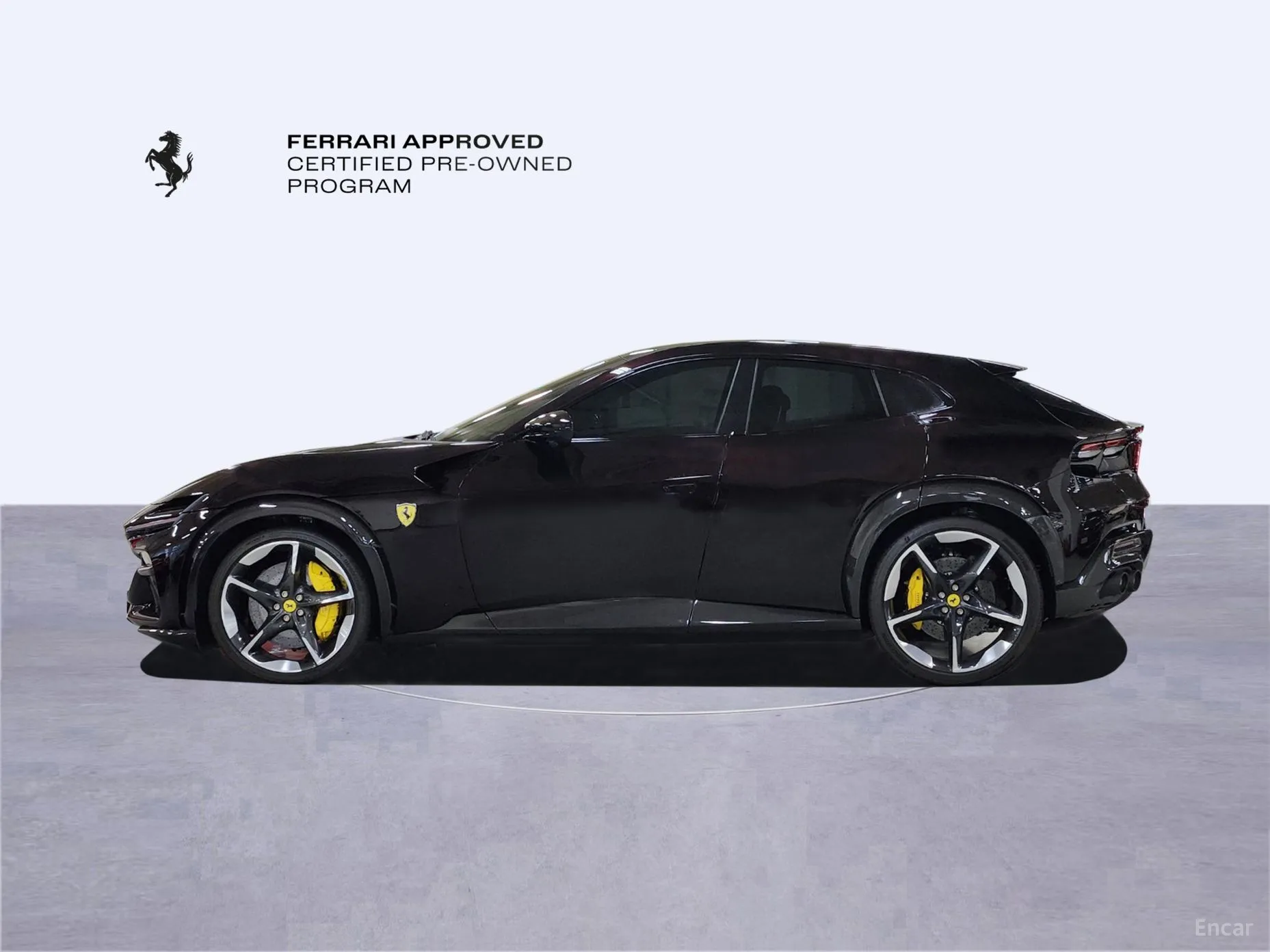 Ferrari Puro Sange превью 8