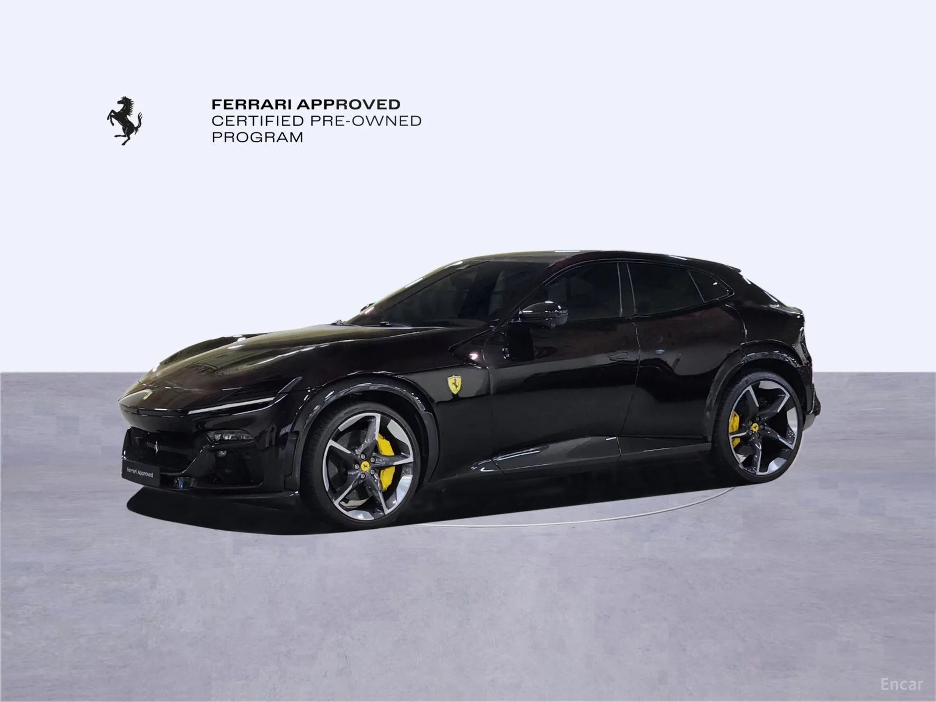 Ferrari Puro Sange превью 9