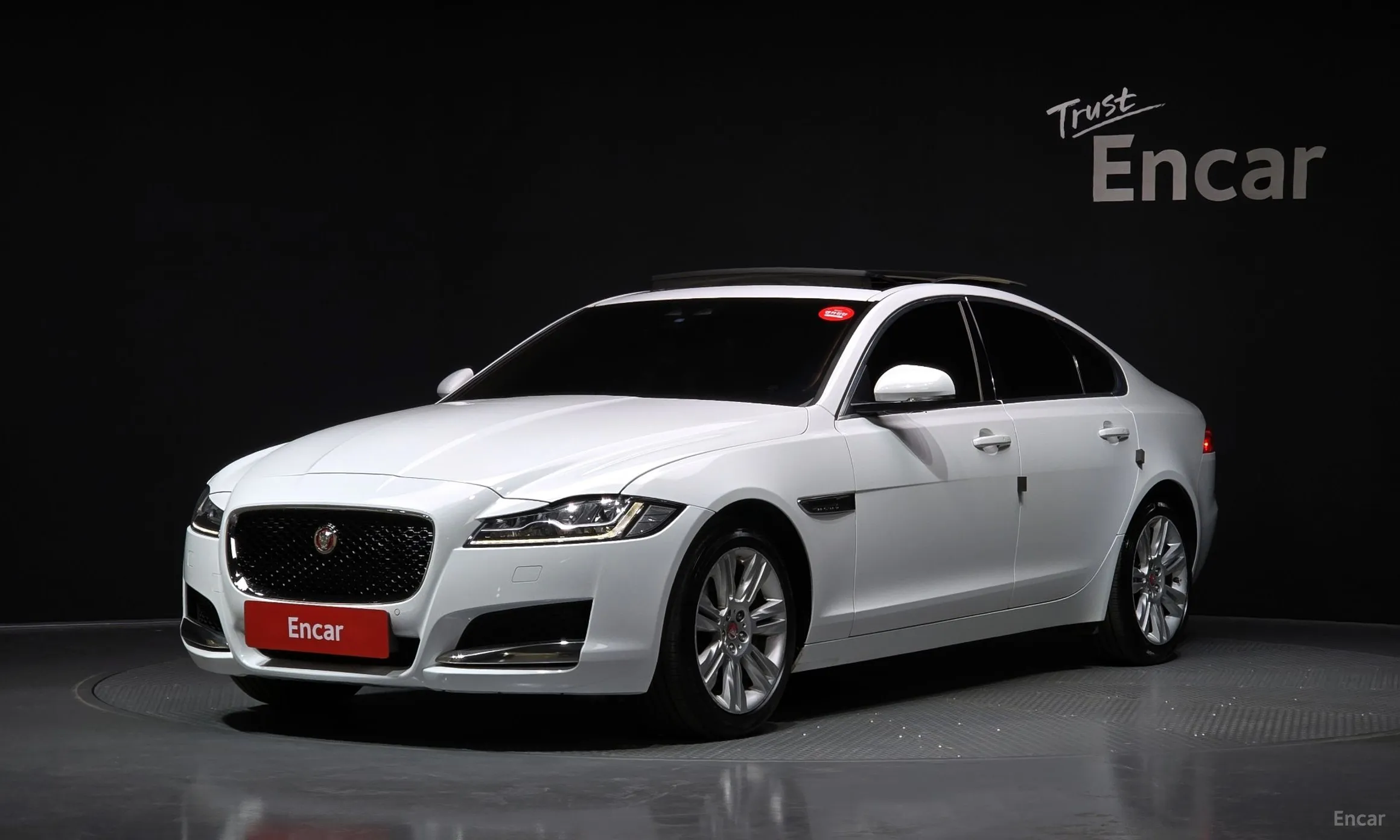 XF (x260)