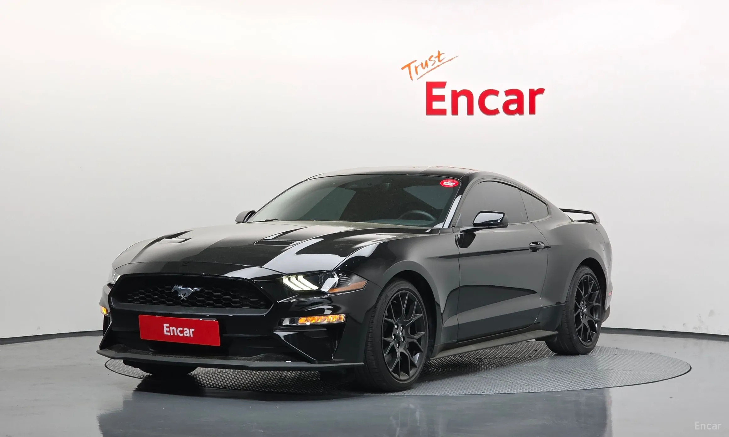 Mustang