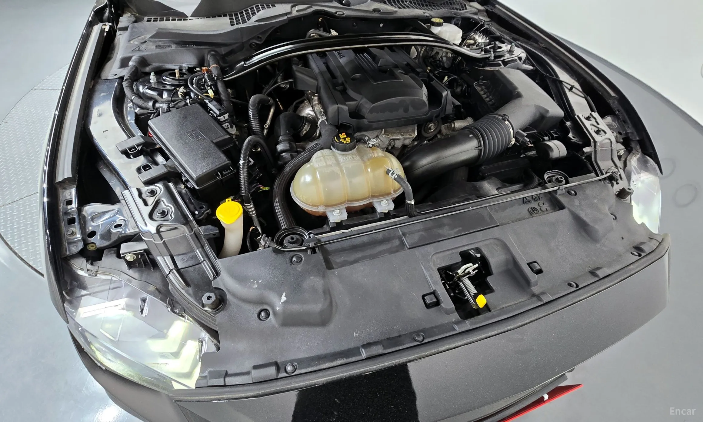 Ford Mustang превью 6