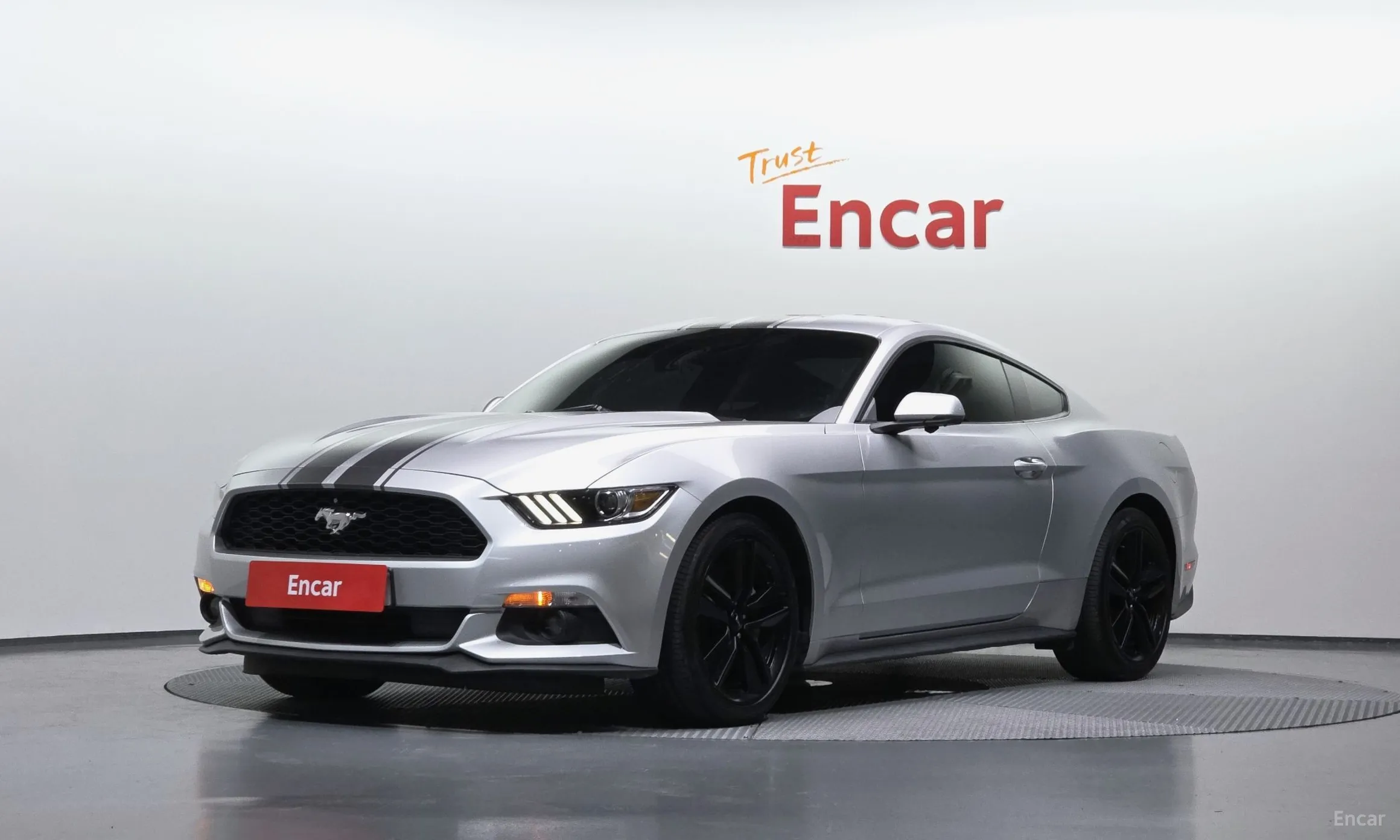 Mustang