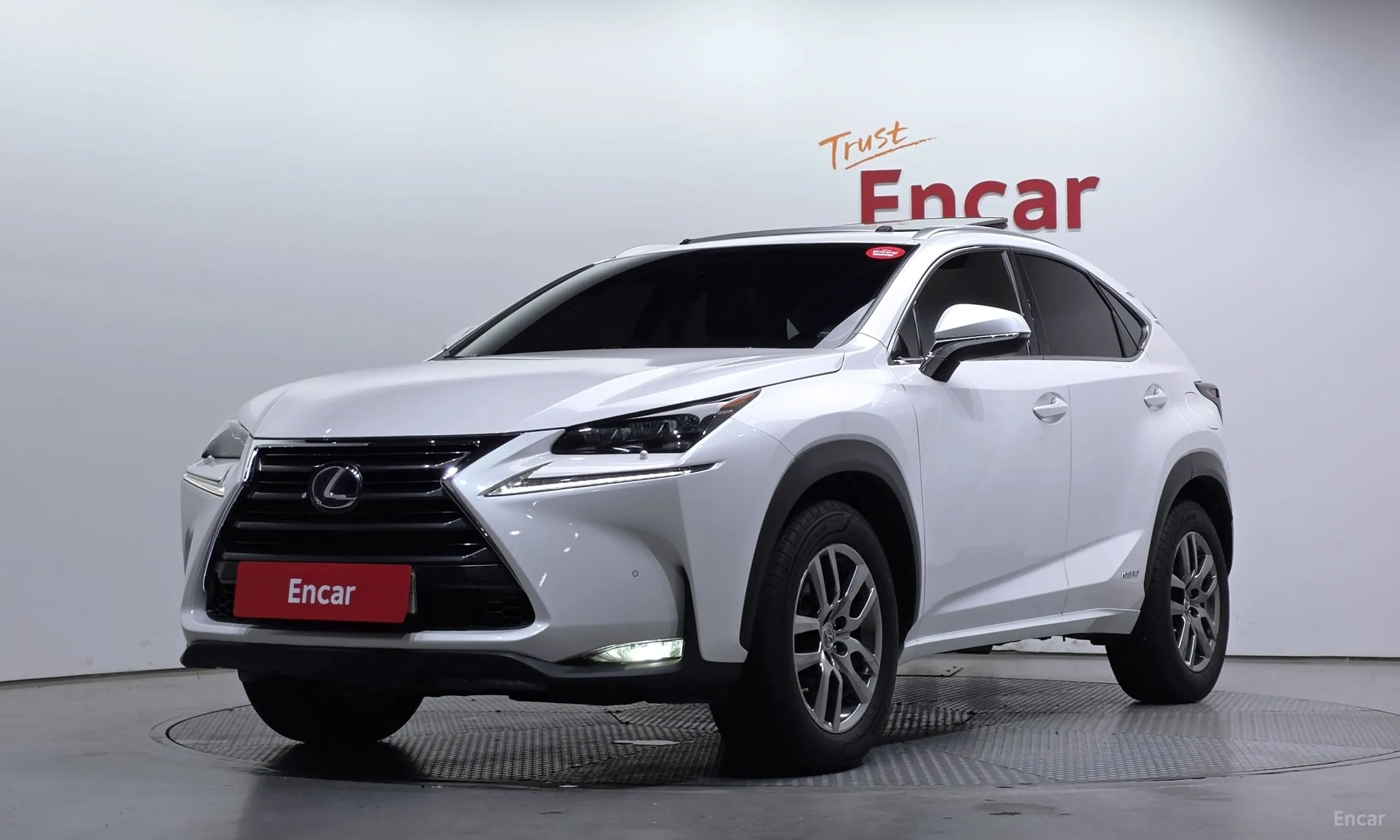 Lexus NX300h