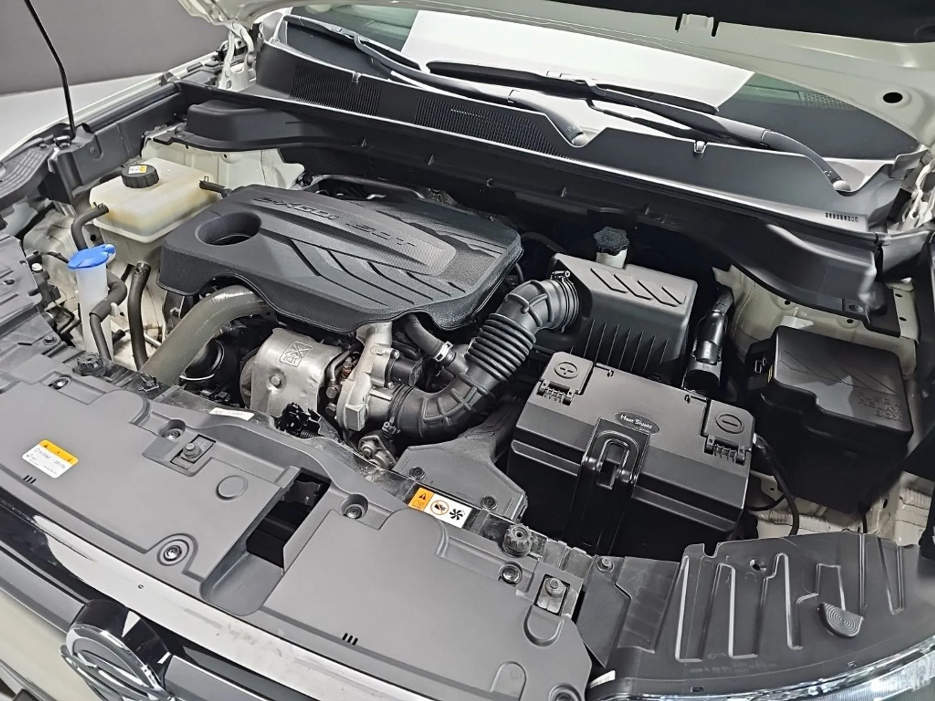 KG Mobility (SsangYong) Beautiful Korando превью 6