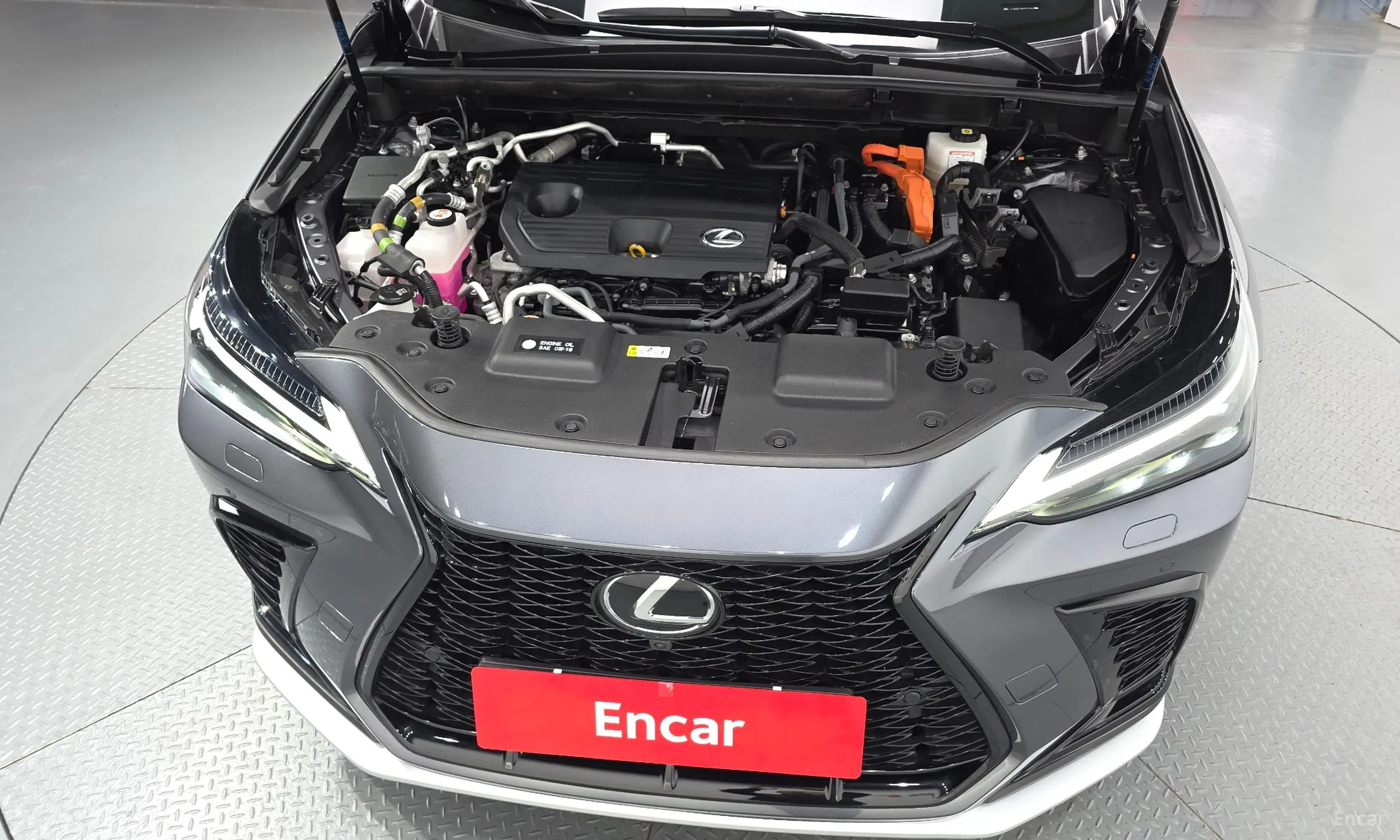 Lexus NX450h + 2nd Gen превью 6