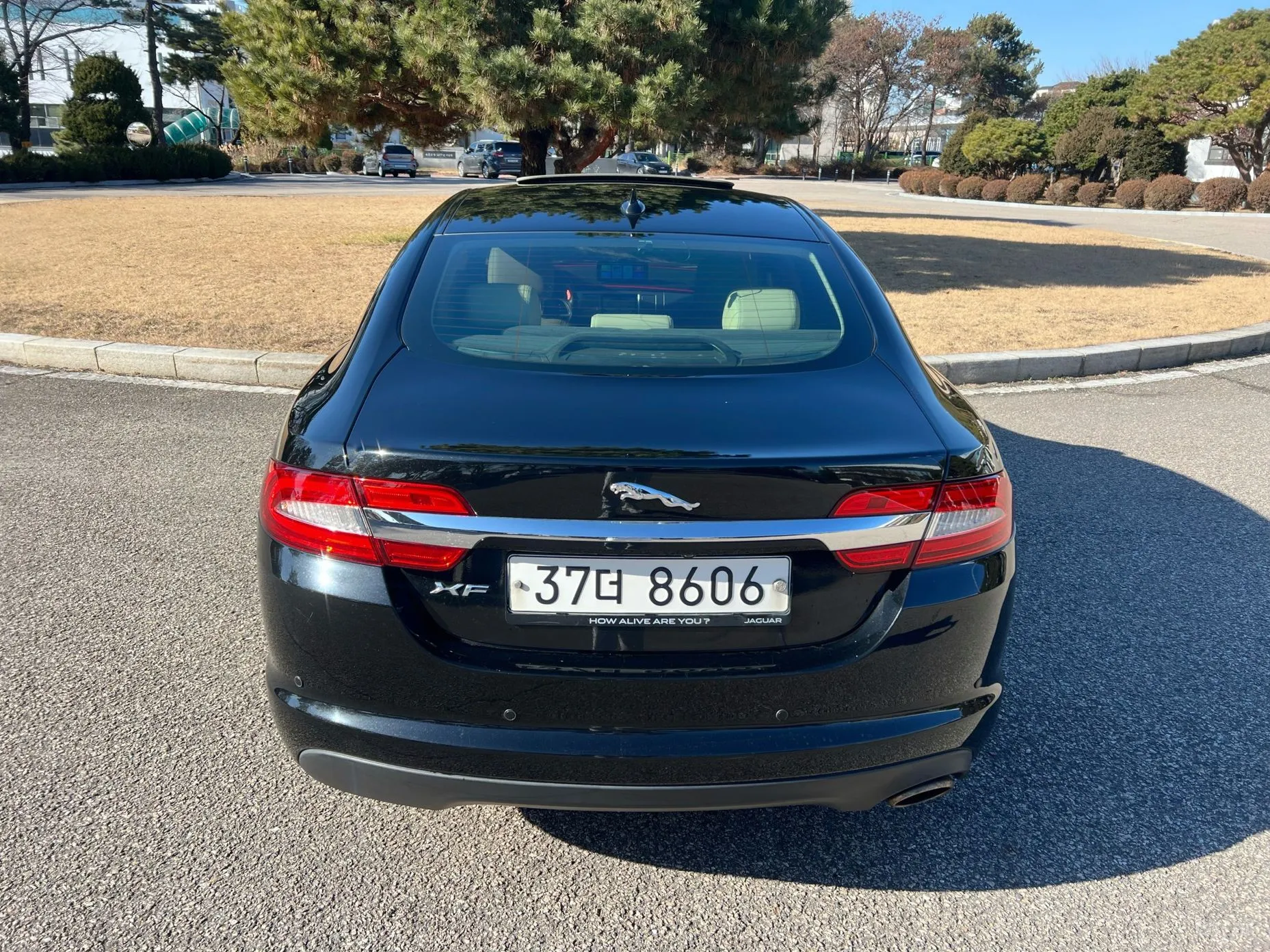 Jaguar New XF превью 5
