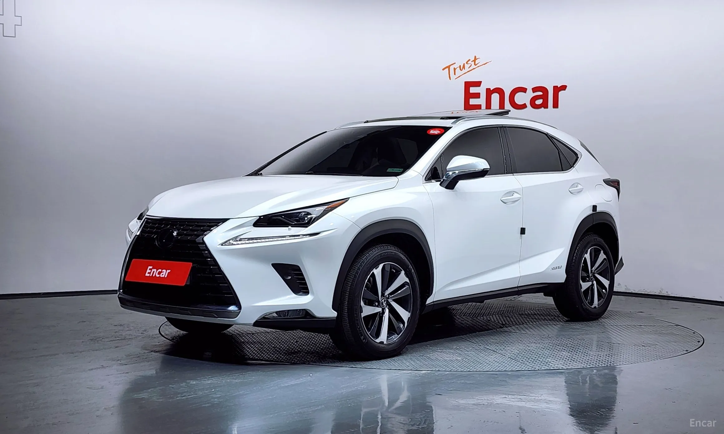 Lexus NX300h