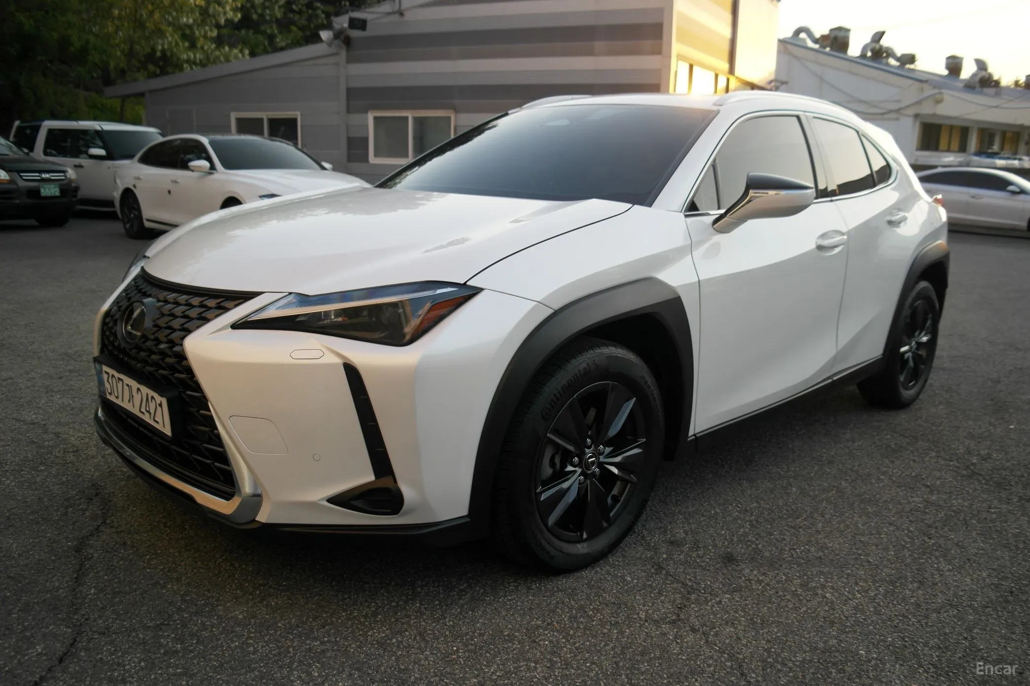Lexus UX300h превью 5
