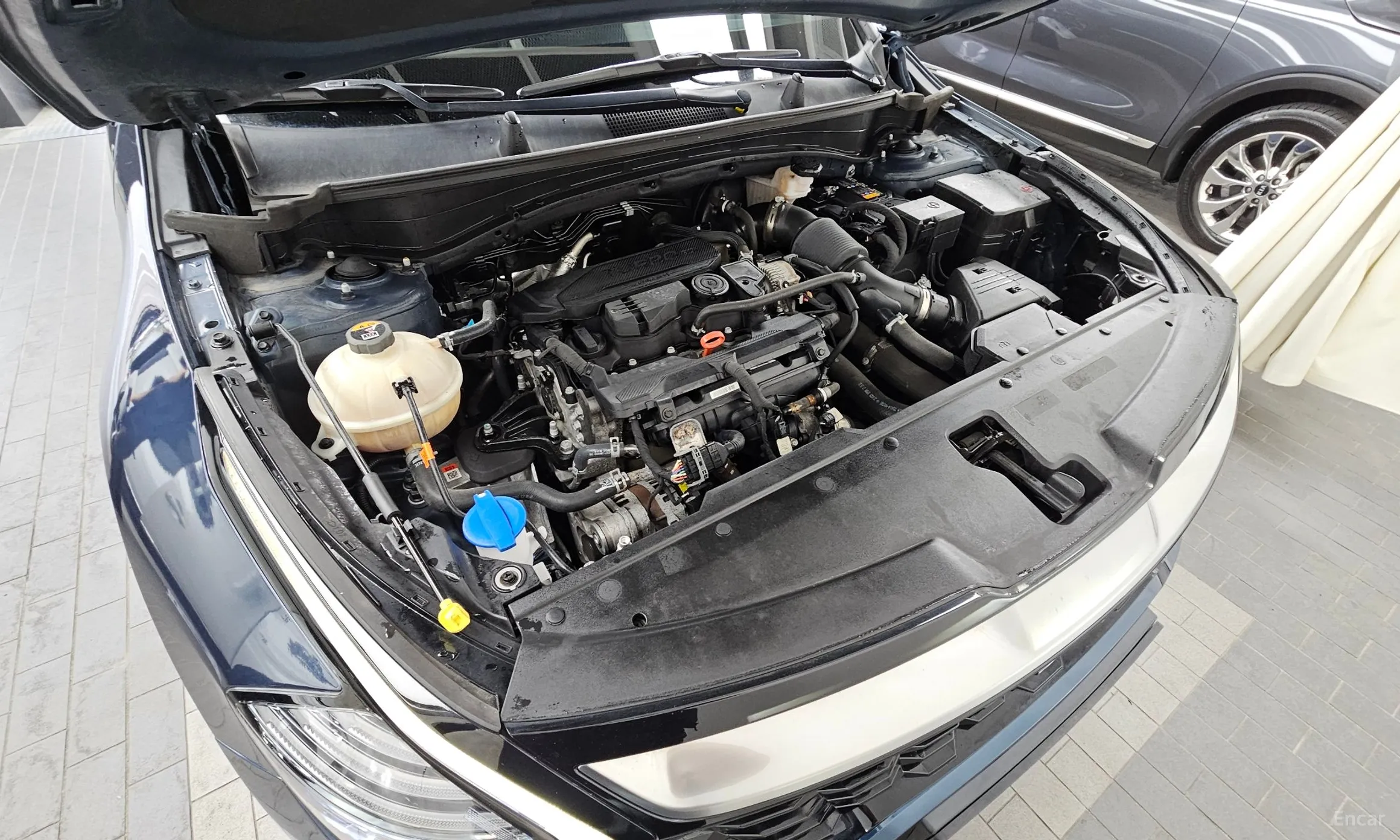 Kia Sportage 5th Generation превью 6