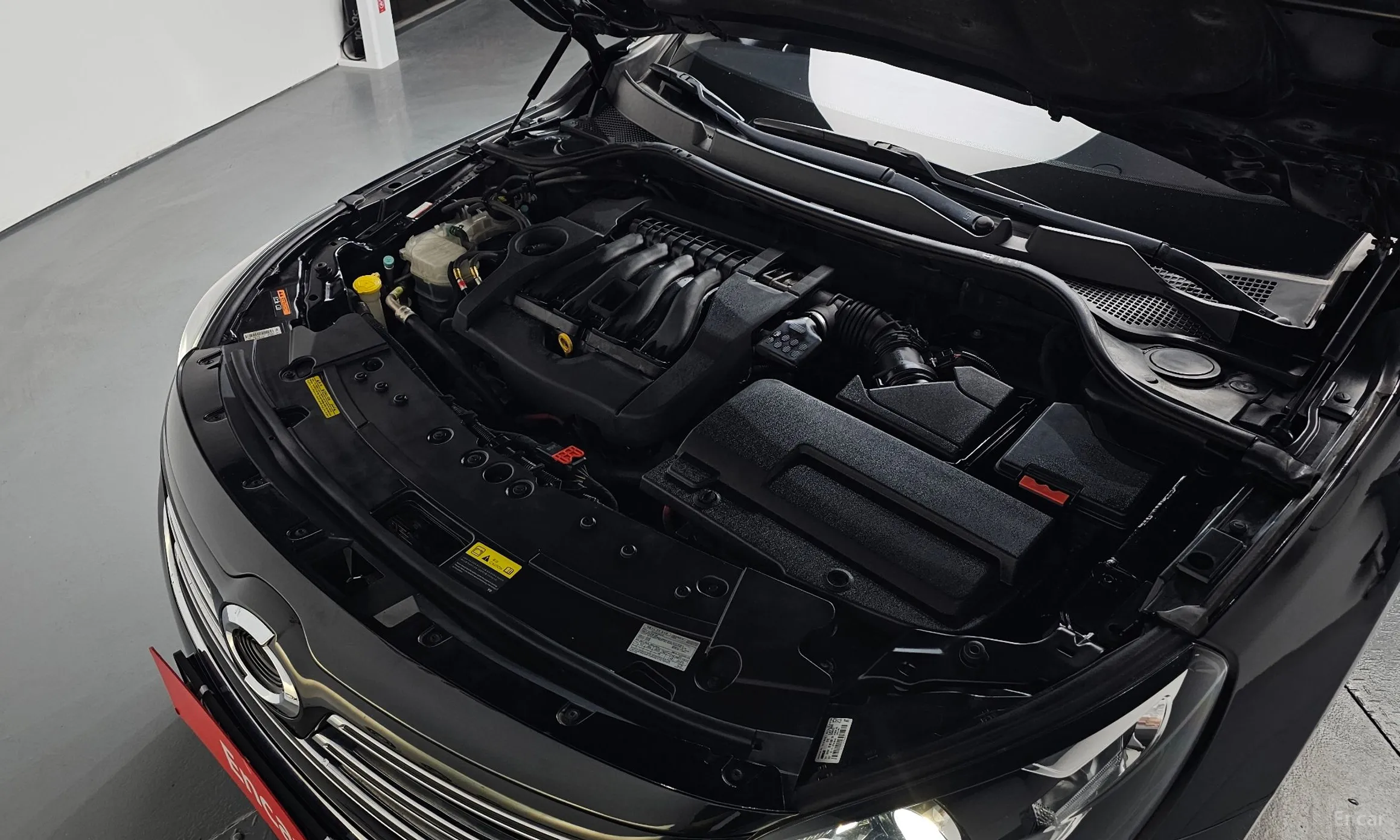Renault Korea (Samsung) SM7 превью 6